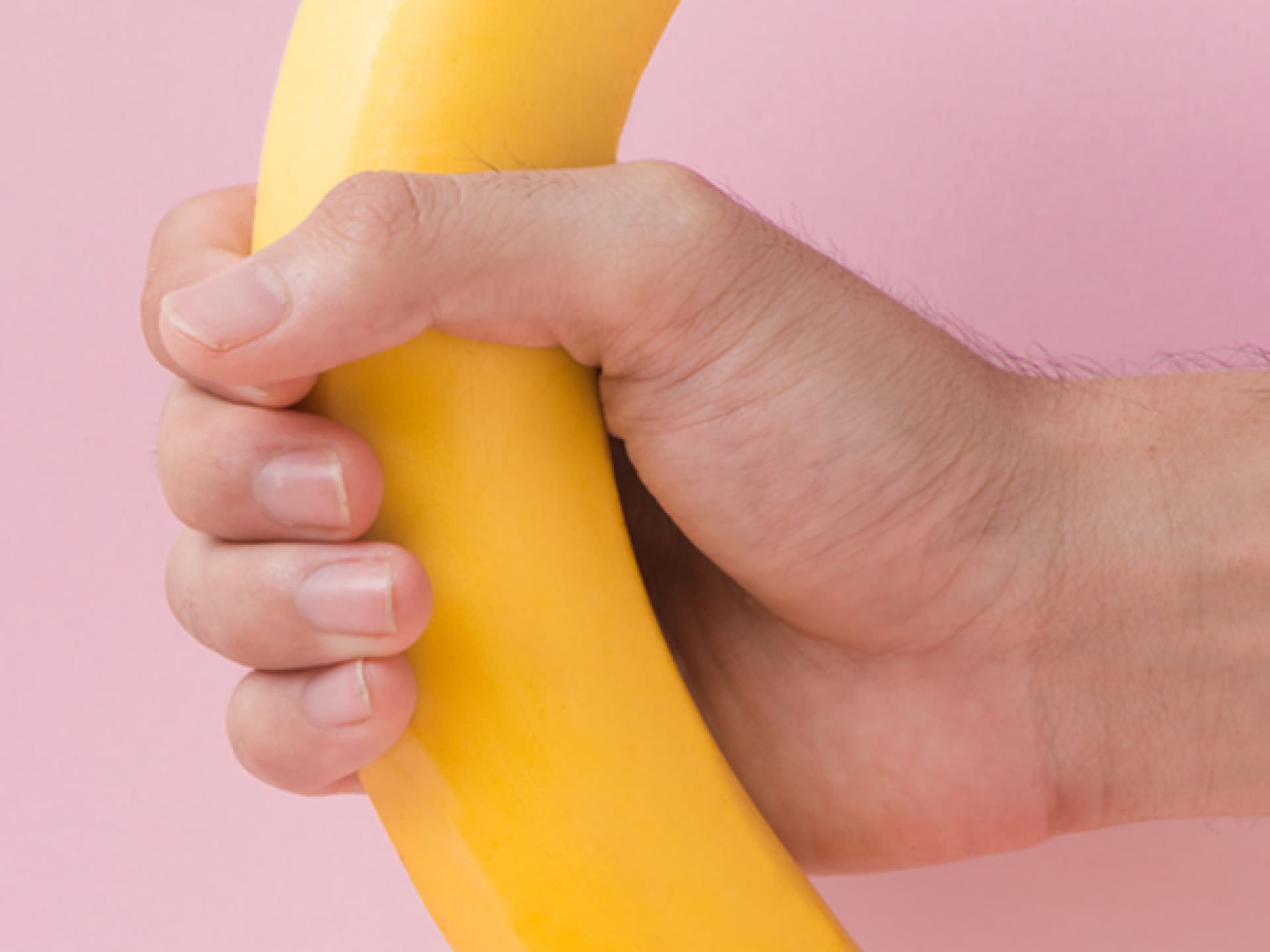 Der Penis und Hoden Der Penis und Hoden