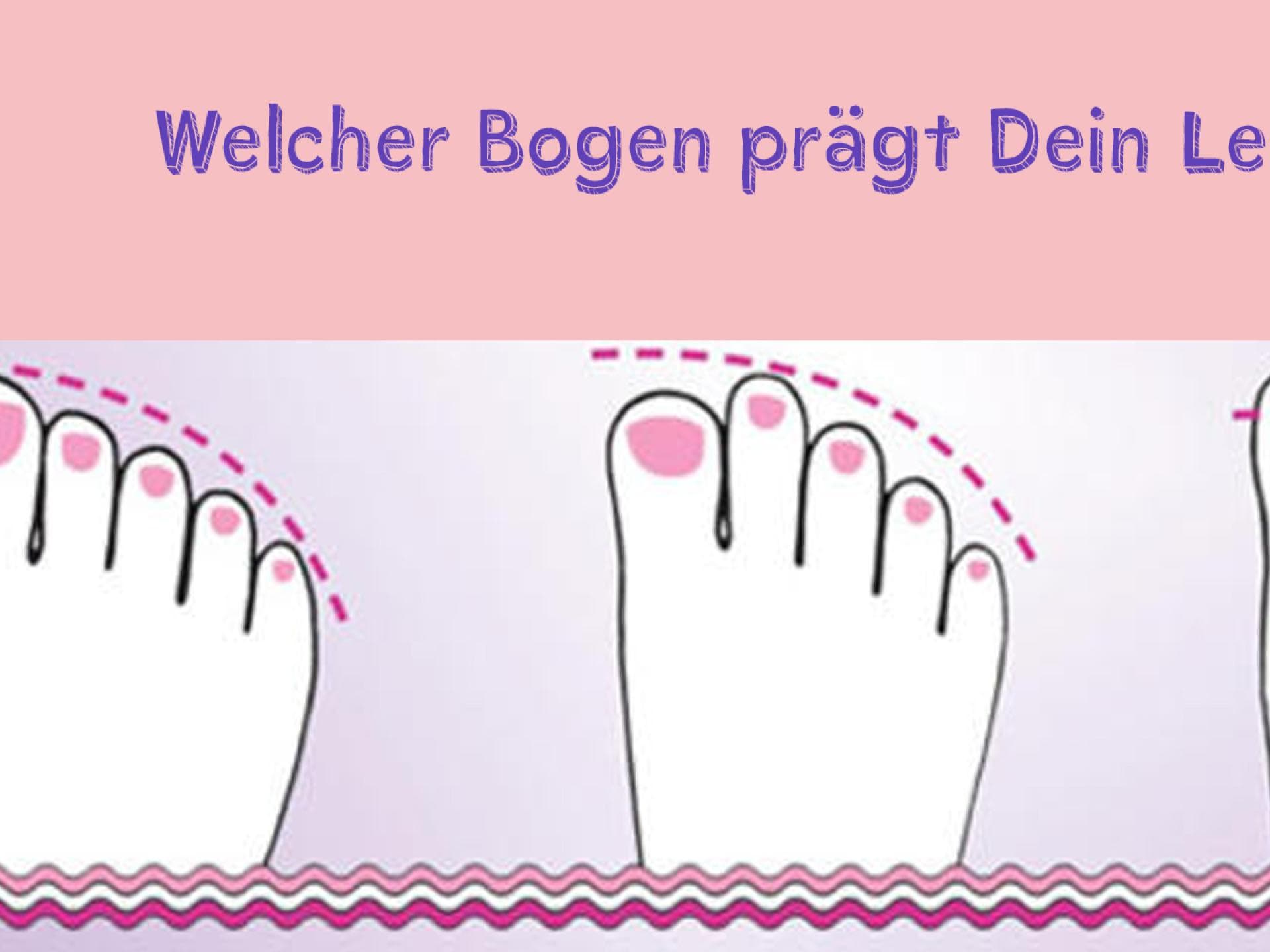 bogen leben bogen leben