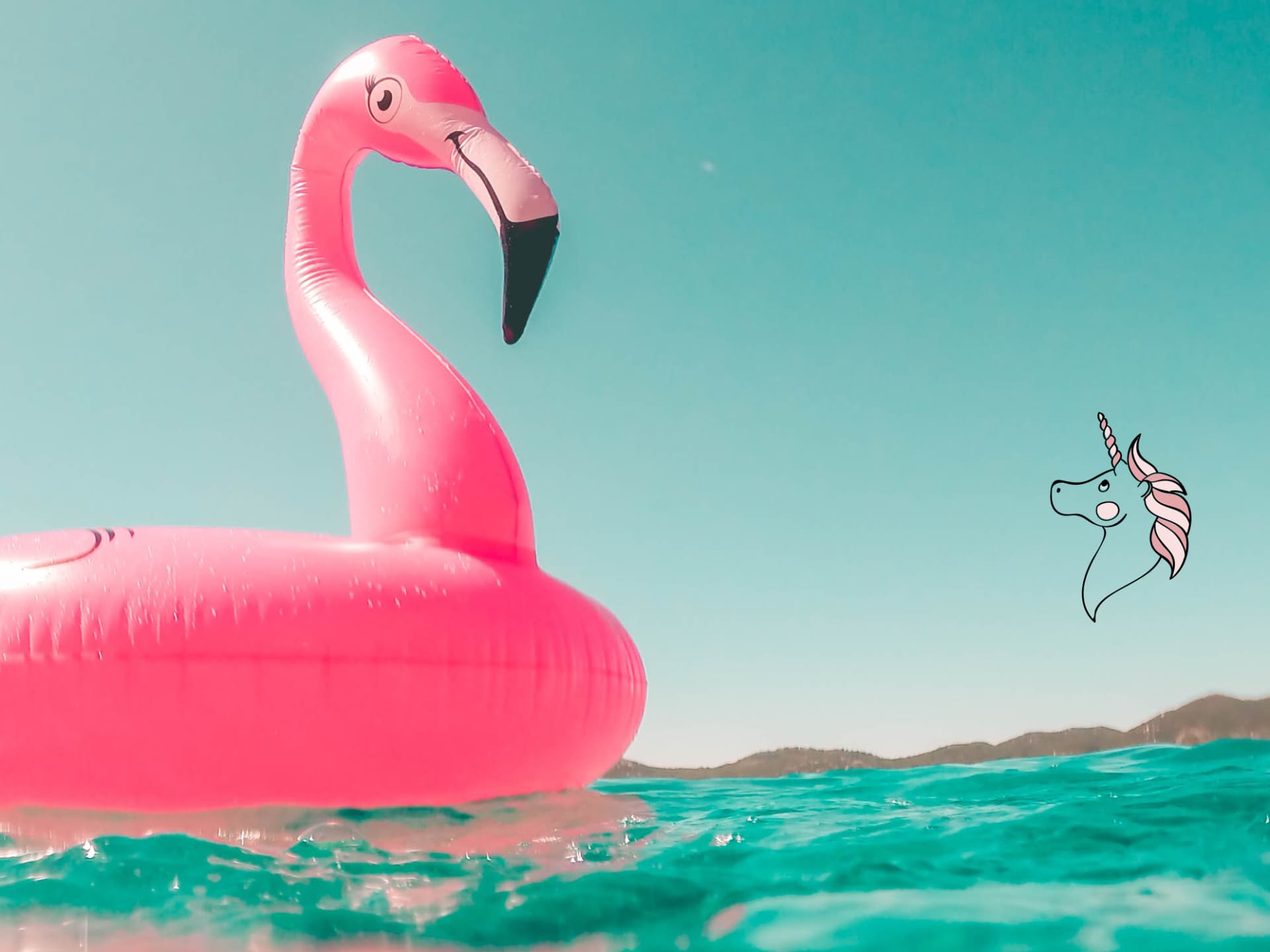flamingo-quer flamingo-quer