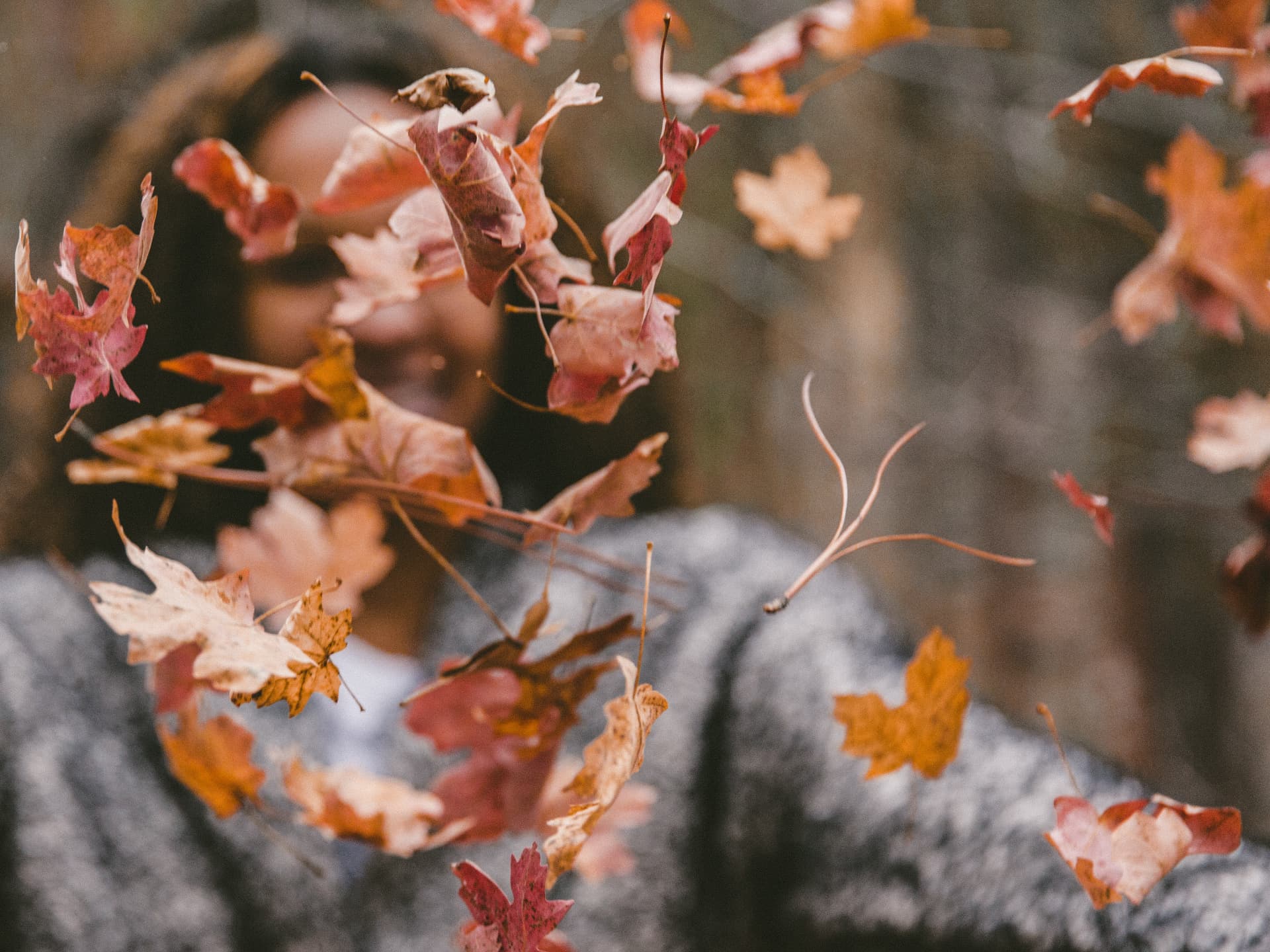 sachen-die-du-im-herbst-machen-kannst sachen-die-du-im-herbst-machen-kannst