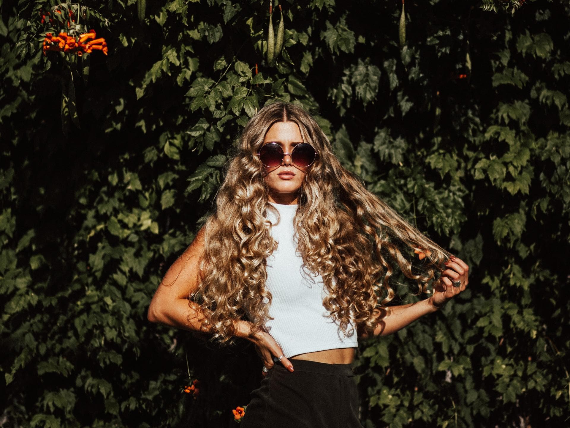longhair-quer longhair-quer