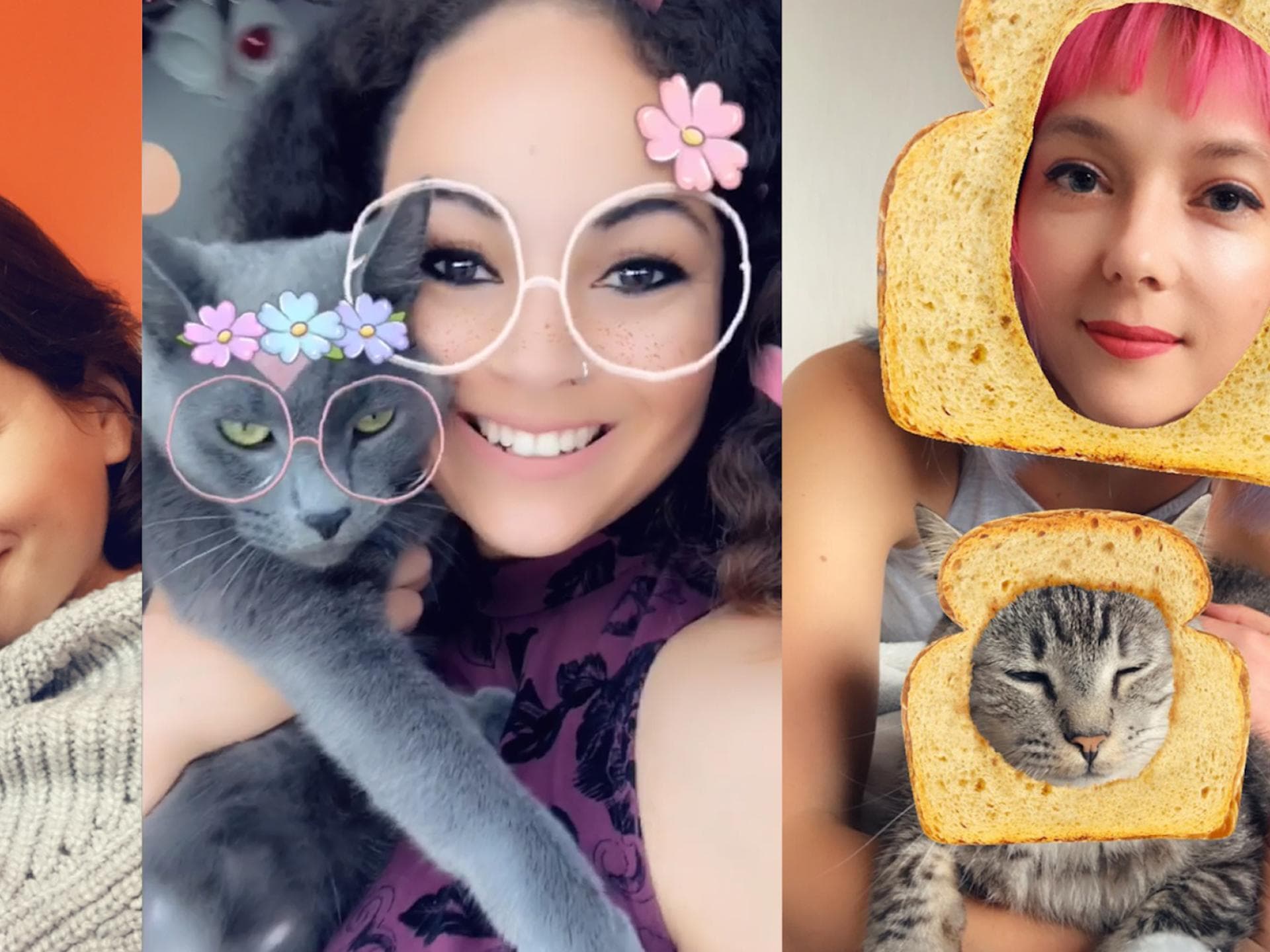 catfilterquer catfilterquer
