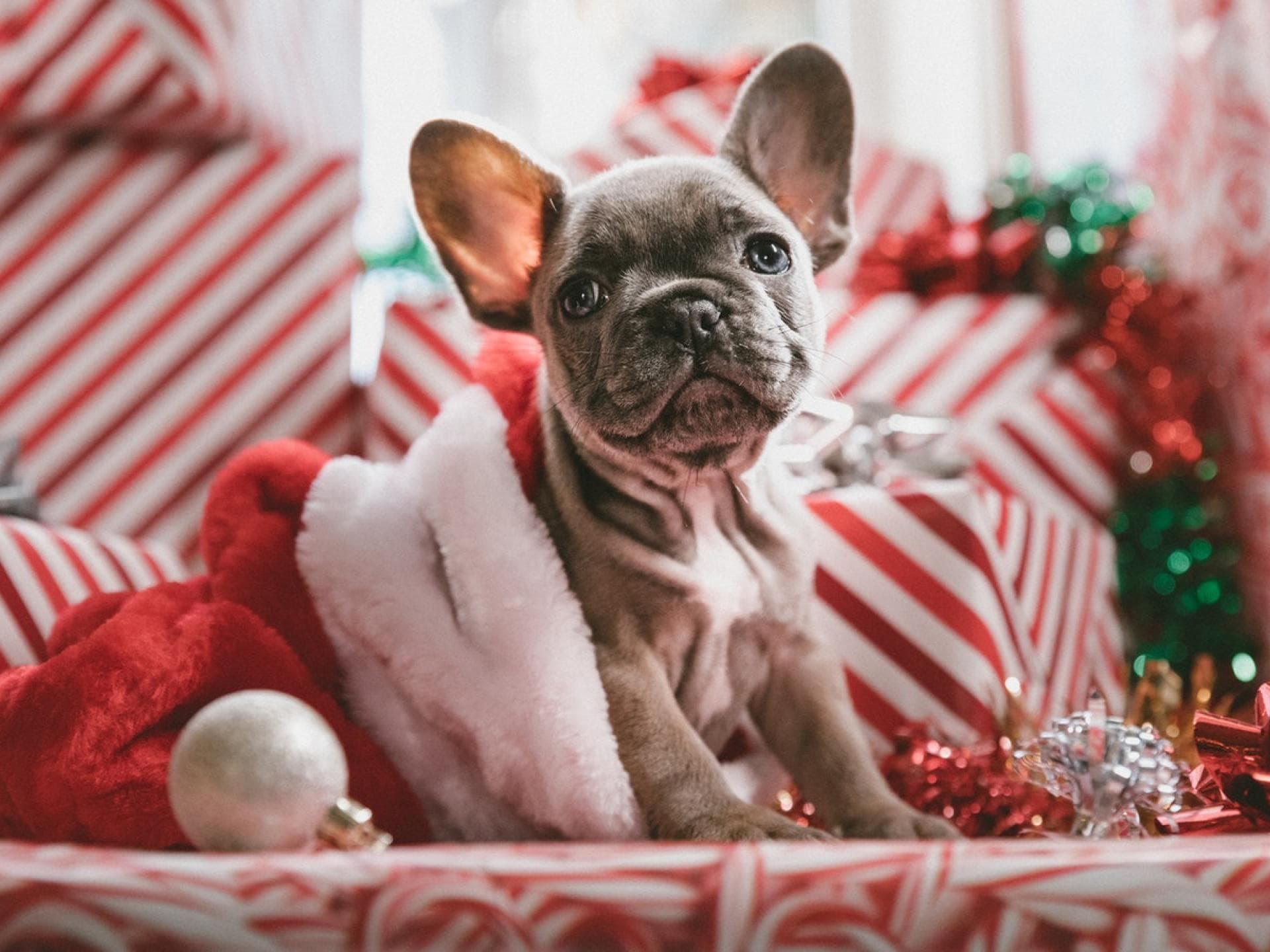 Photo by Jakob Owens on Unsplash Photo by Jakob Owens on Unsplash