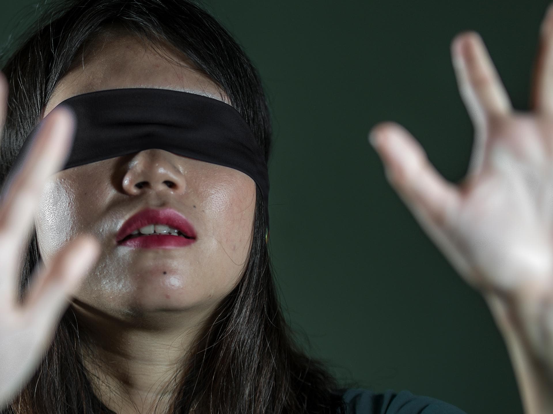 bird box quer
