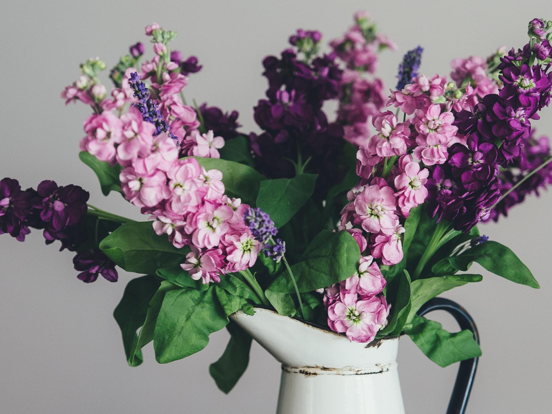 blumen-zum-muttertag-laut-sternzeichen-quer