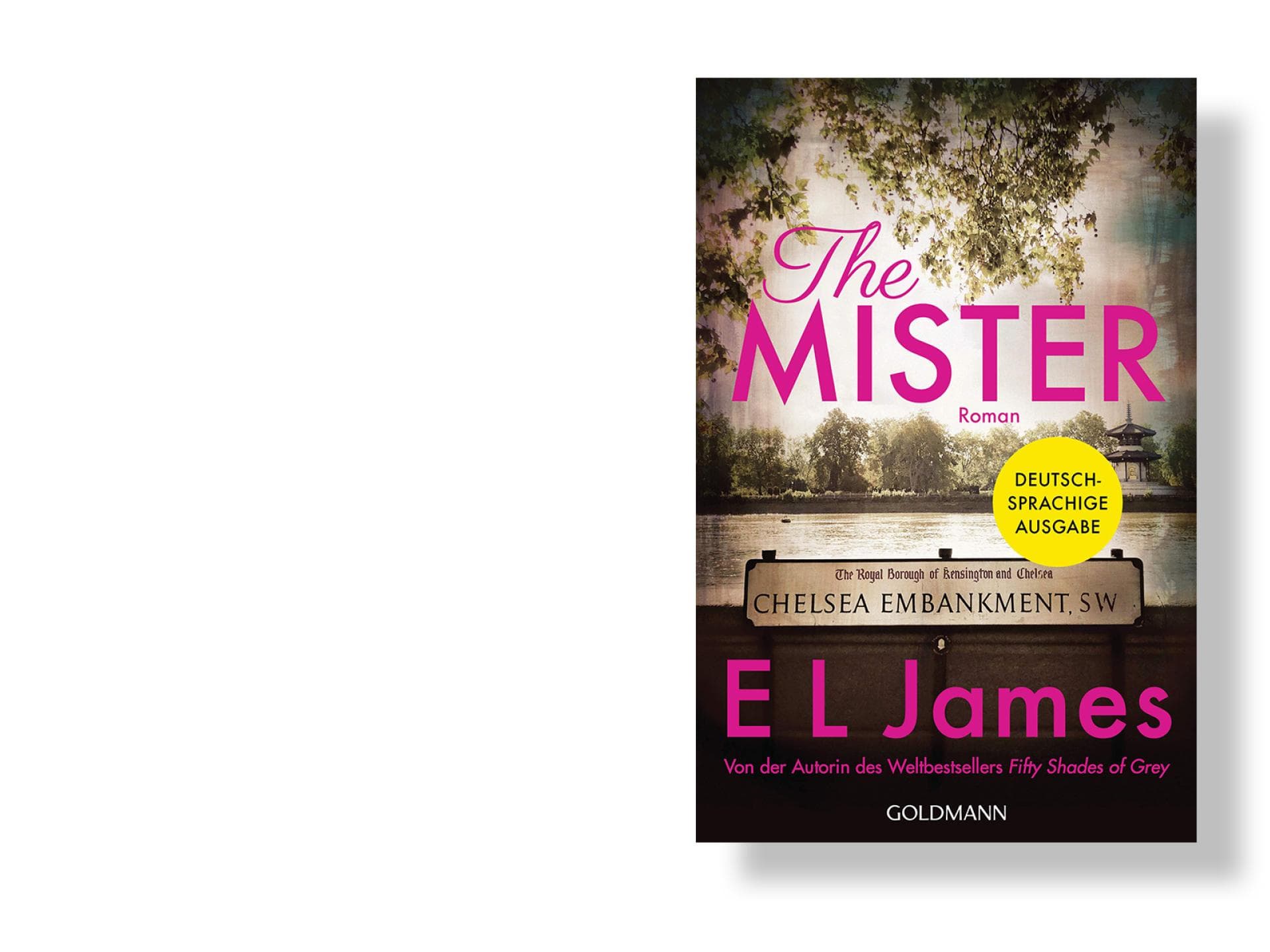 the-mister-buchcover the-mister-buchcover
