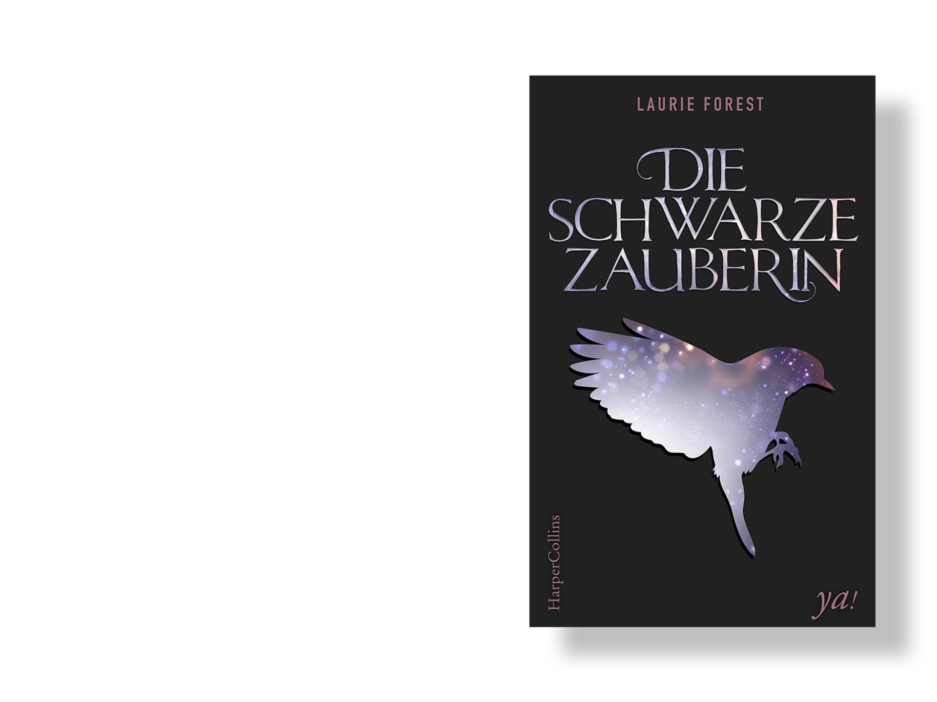 die-schwarze-zauberin die-schwarze-zauberin