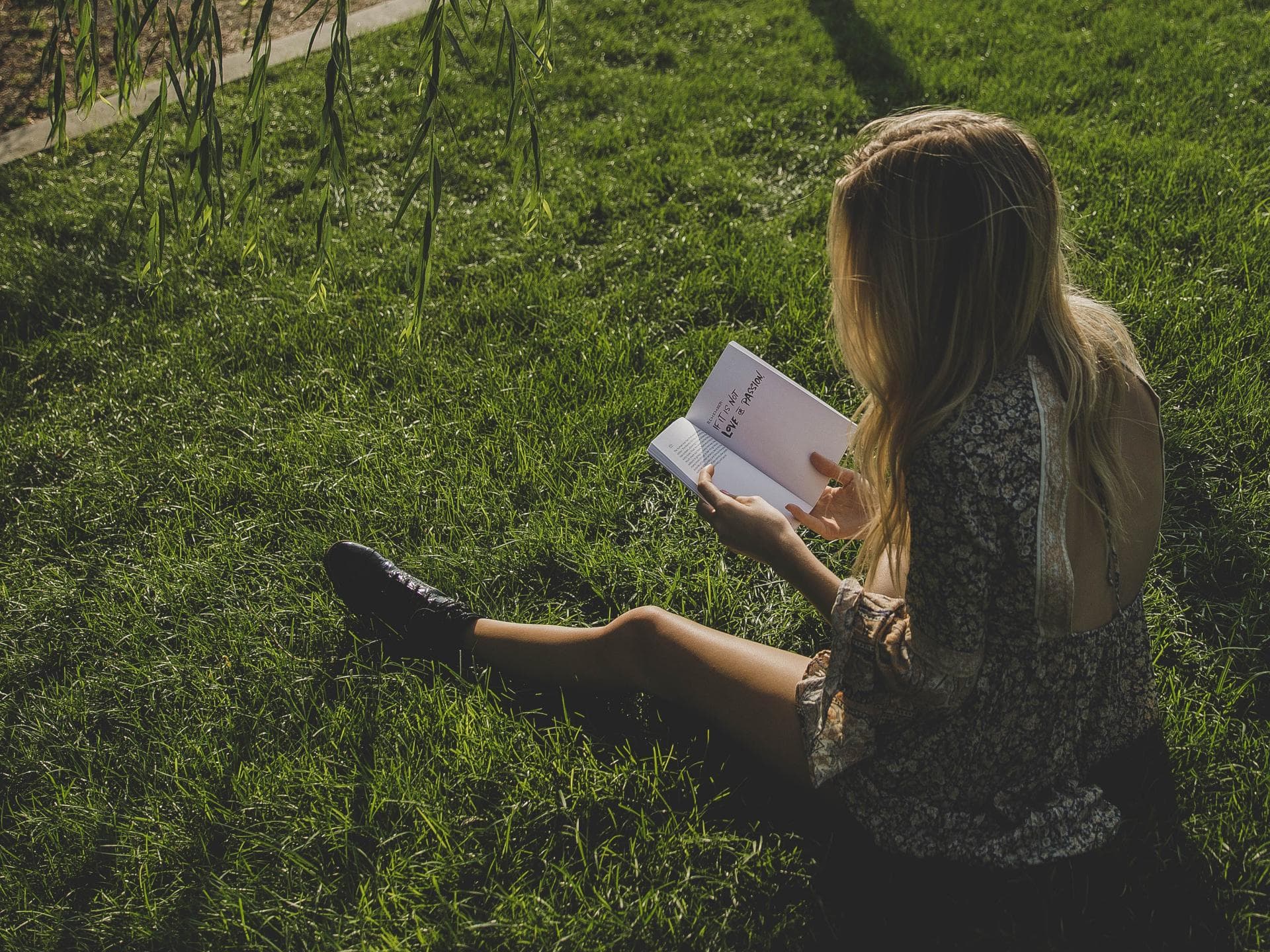 büchertipps-für-den-sommer-quer büchertipps-für-den-sommer-quer