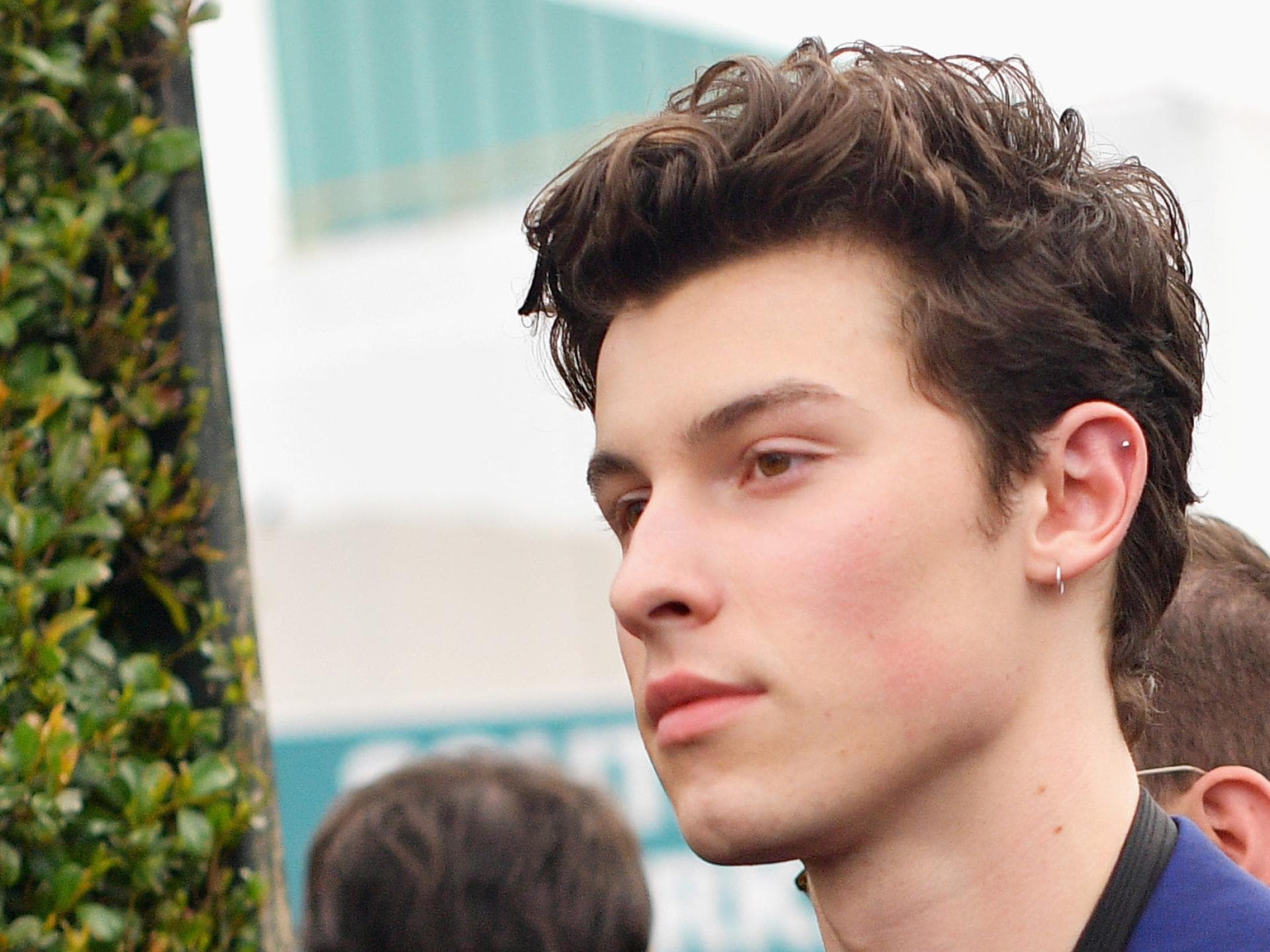 shawn-mendes-shitstorm-quer shawn-mendes-shitstorm-quer