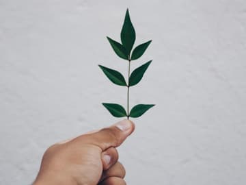 CO2 einsparen