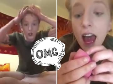 Kaefer im Beauty Blender quer Kaefer im Beauty Blender quer