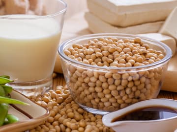 Vegan-ernähren-Aufmacher-quer