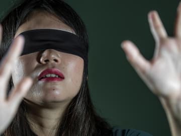 bird box quer