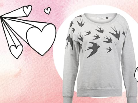 Modelieblinge Winter 2015-2016 quer Modelieblinge Winter 2015-2016 quer