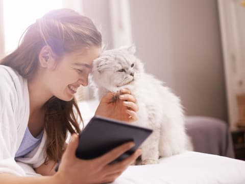 frauen-mit-katzen-quer frauen-mit-katzen-quer