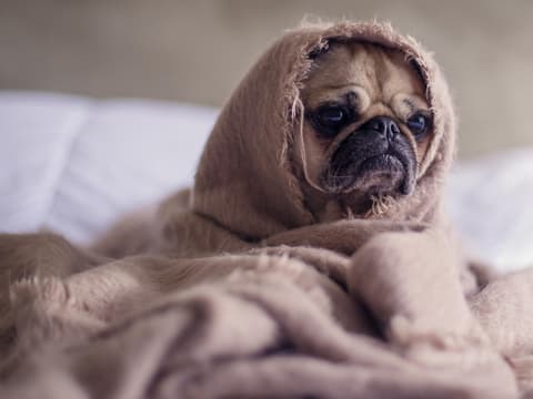 dinge-die-du-nur-kennst-wenn-du-faul-bist-quer