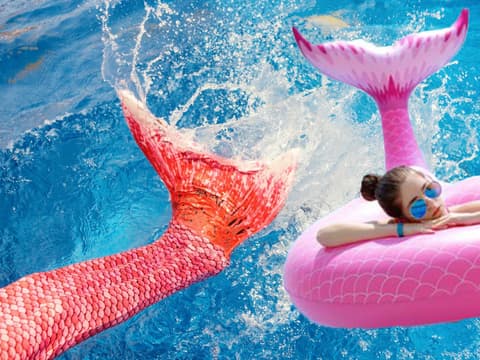 quer_mermaid quer_mermaid