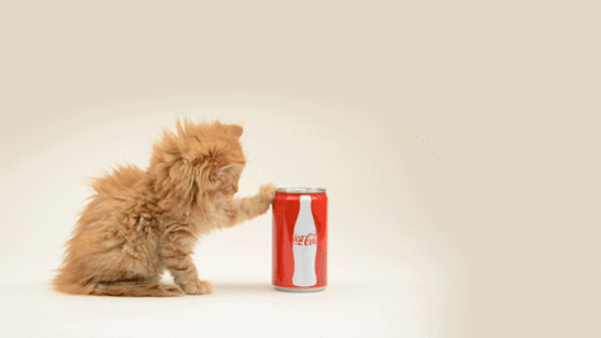 coca-cola-in-kapseln-2086604.gif