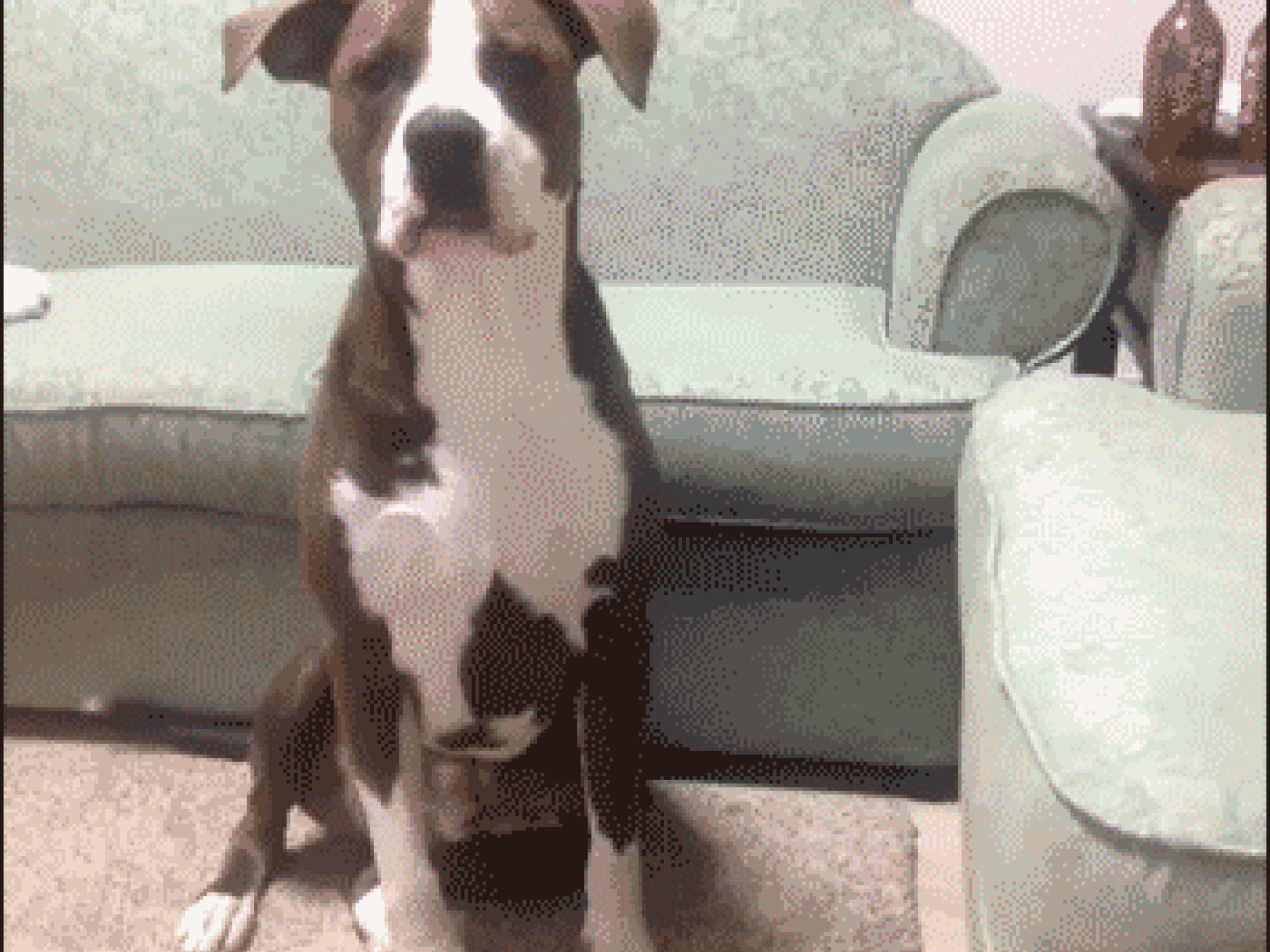 Ein herzliches Hallo!