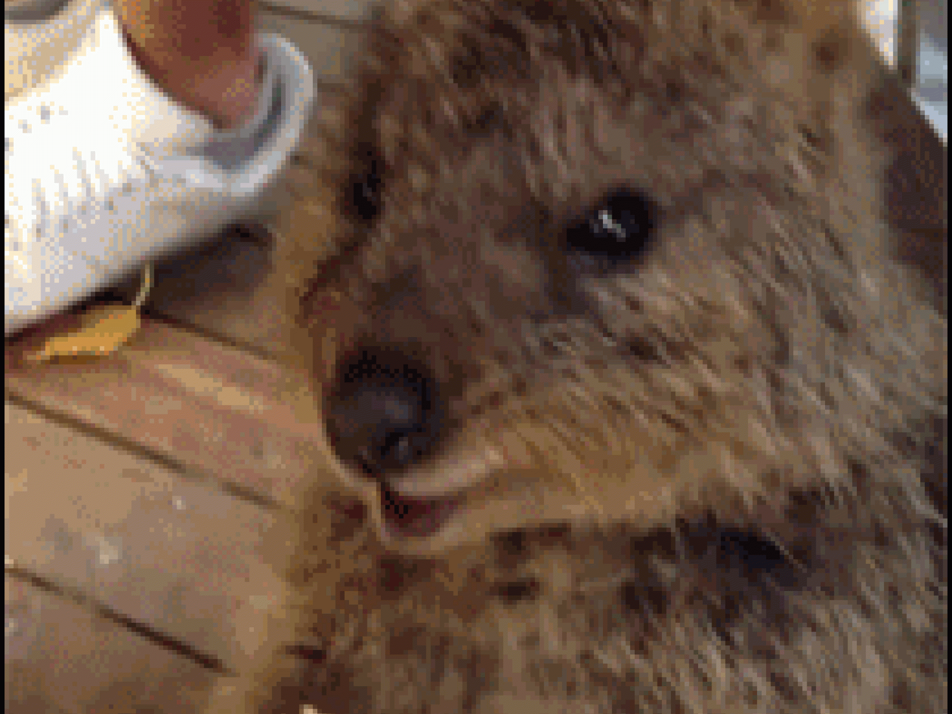 Tierchen futtert ganz viel
