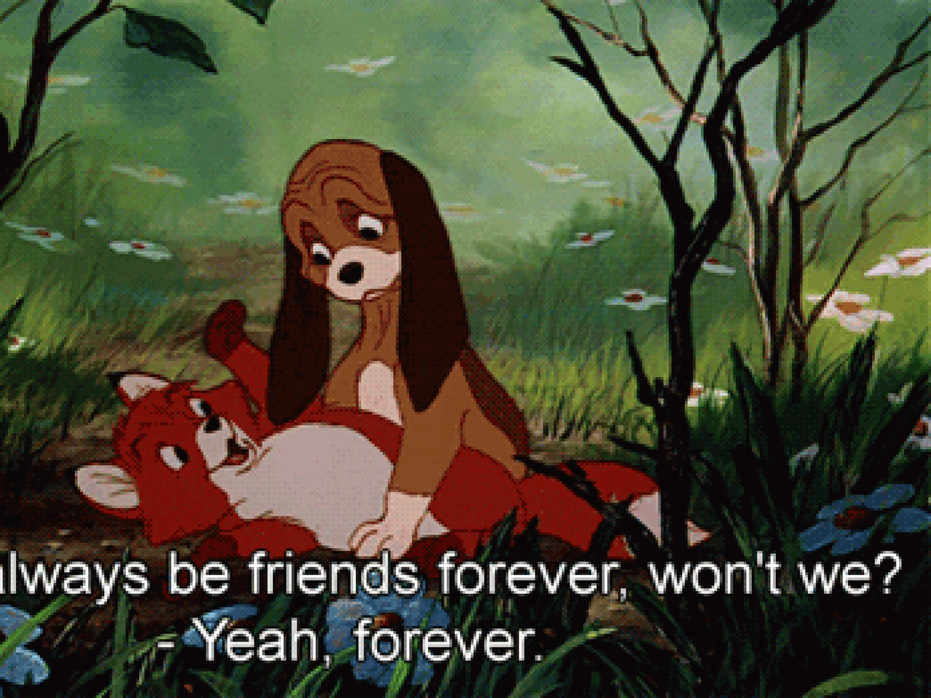 Sie hilft dir jede einzelne Nachricht und jedes Emoji von deinem Schwarm zu deuten.