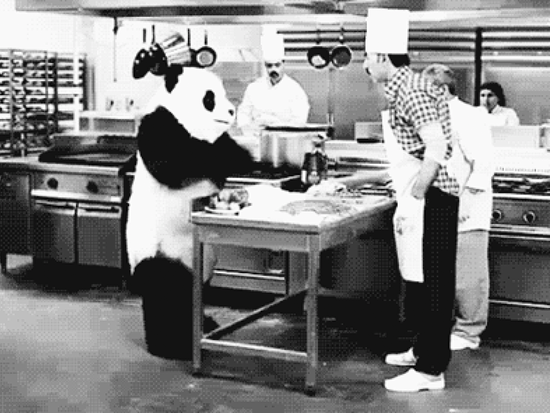 Warum sind Jungs so flirtfaul? Warum sind Jungs so flirtfaul?