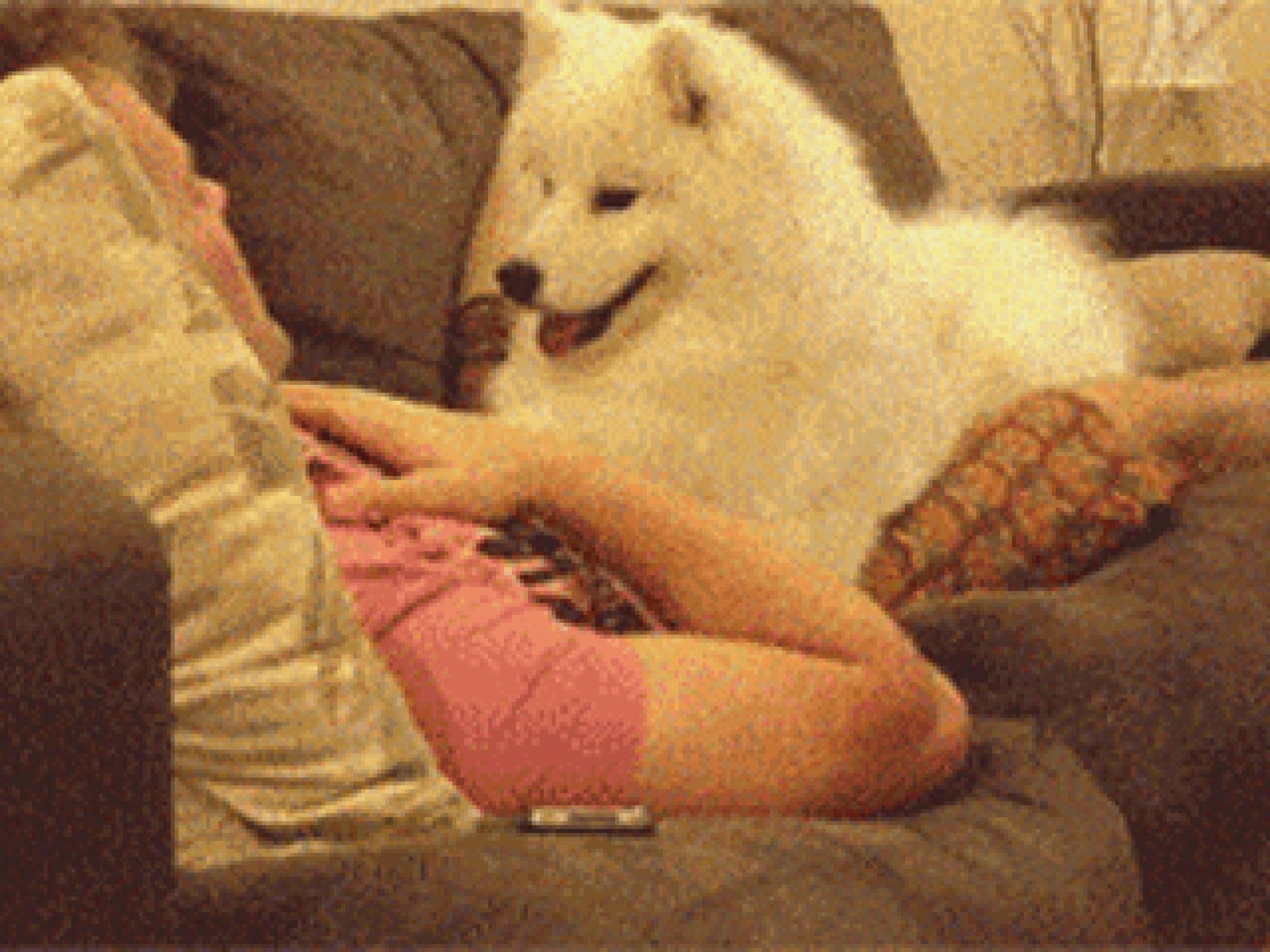 Sie nicht inkonsequent Sie nicht inkonsequent