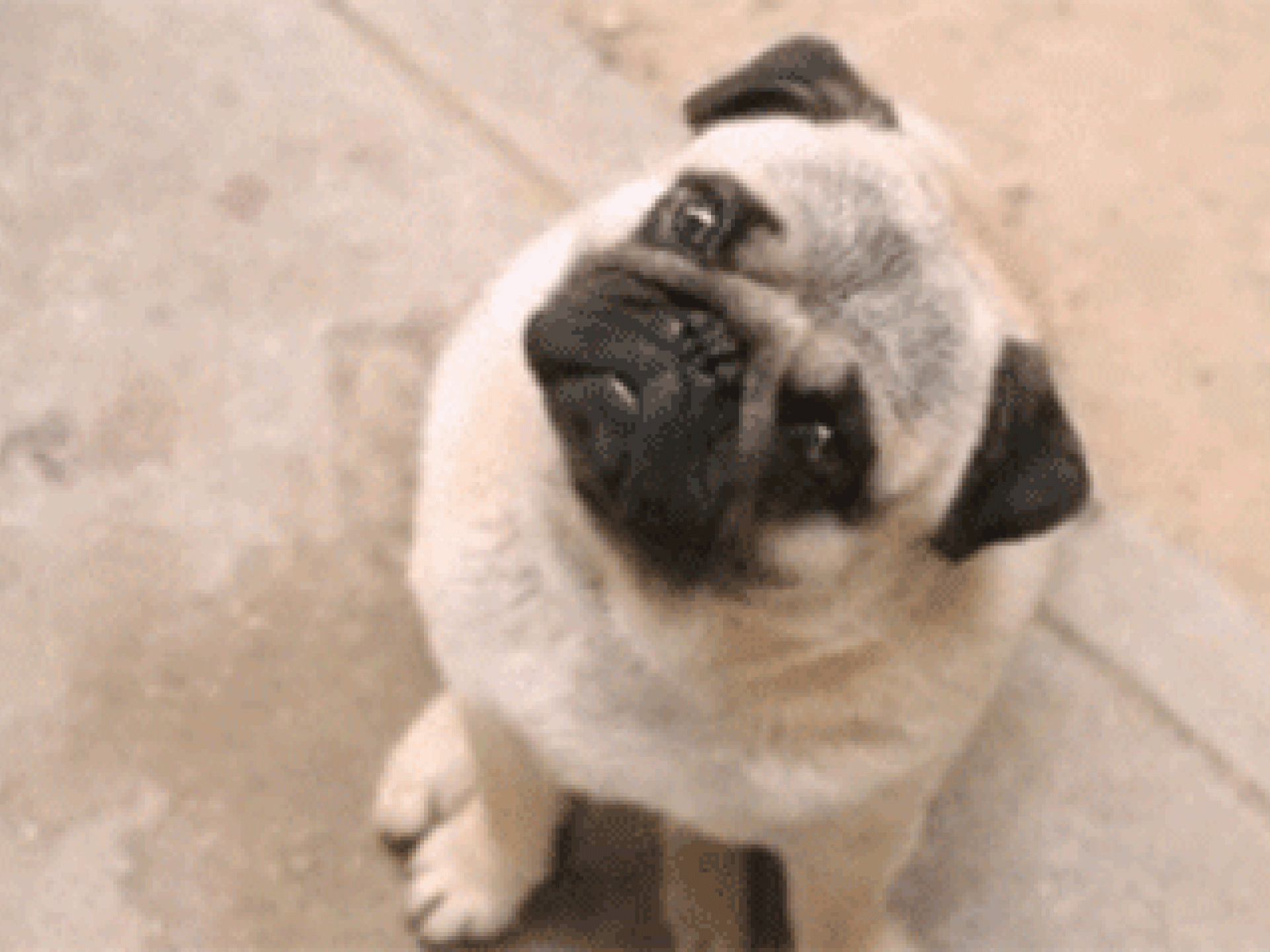 Mach keine unklaren Ansagen