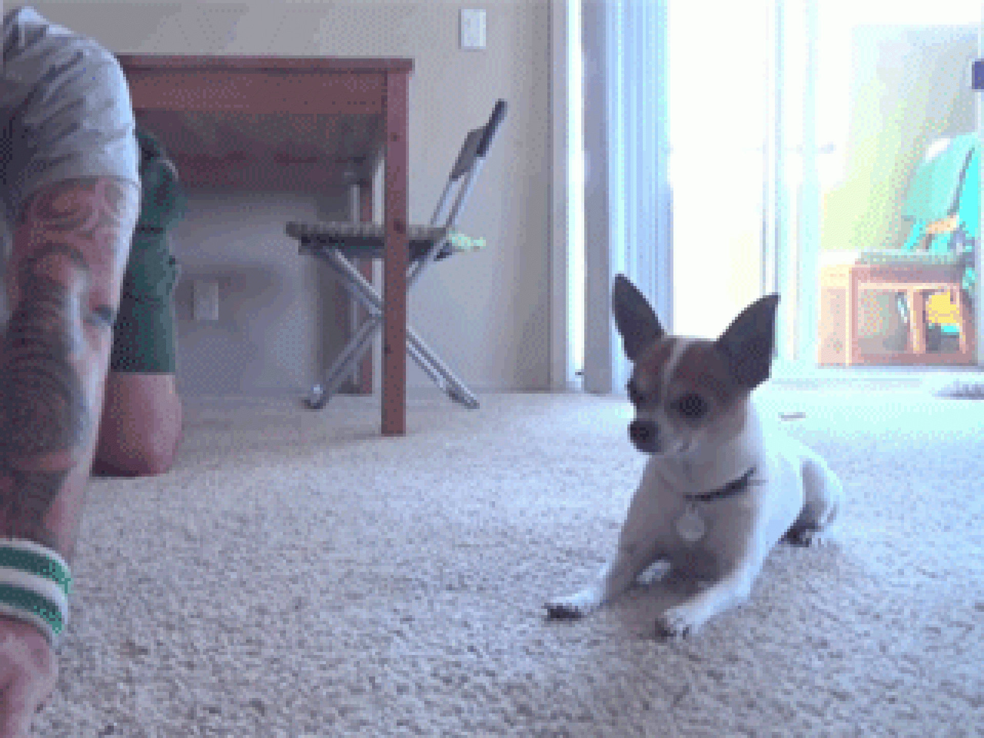 Vergiss die Körpersprache nicht