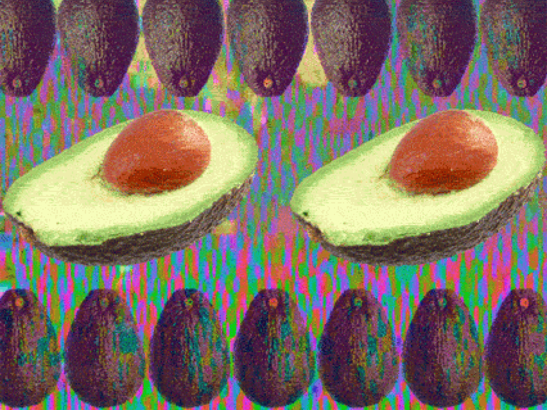 Avocado Avocado