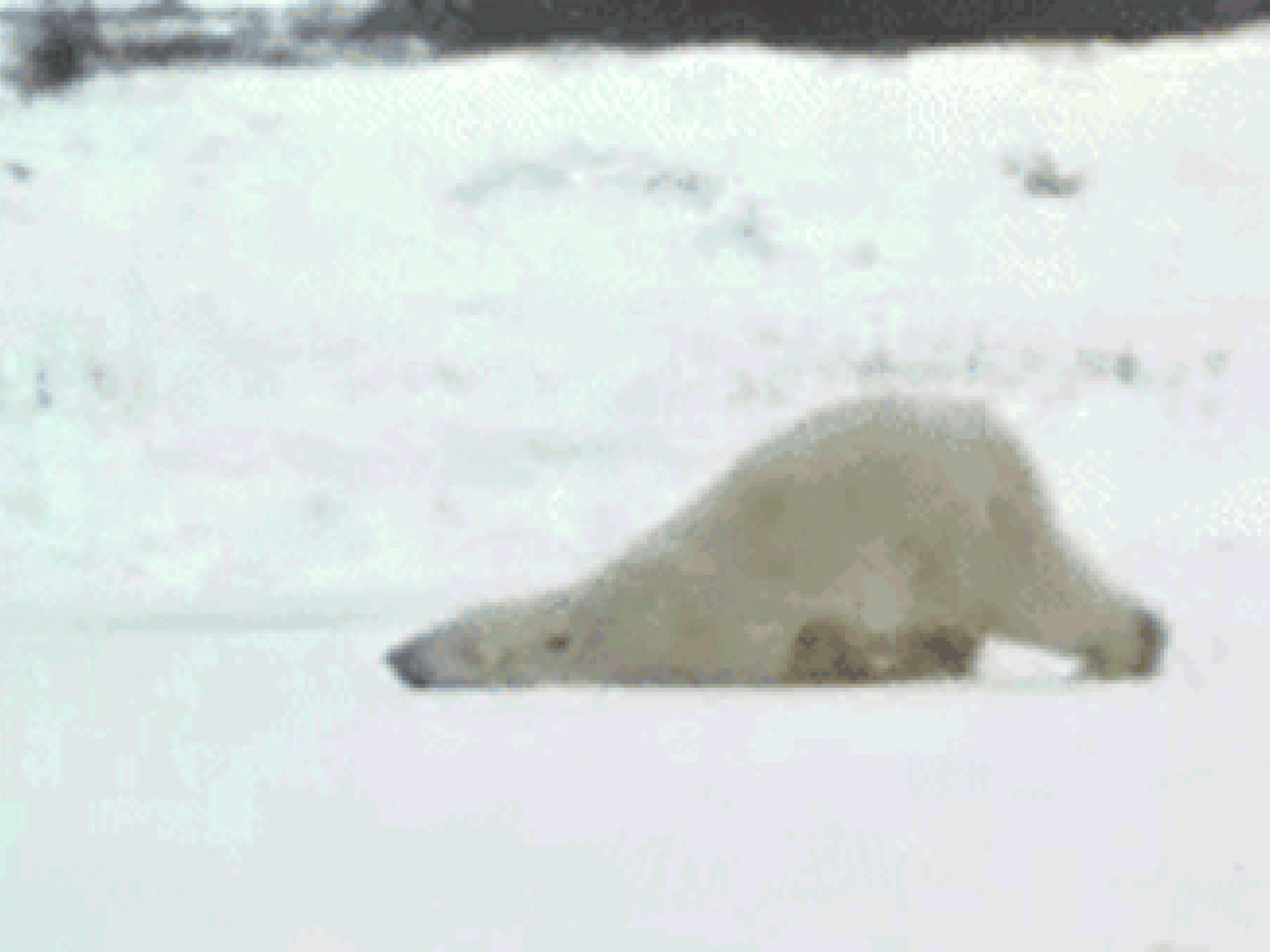 Das Weichei Das Weichei