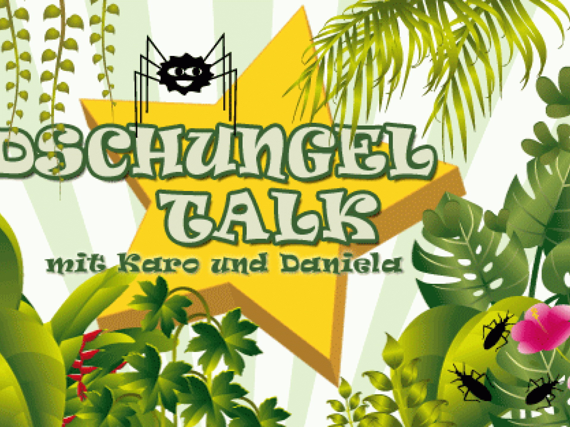 dschungelcamp-2011-dschungel-talk-folge-14-557x313-1031026.gif