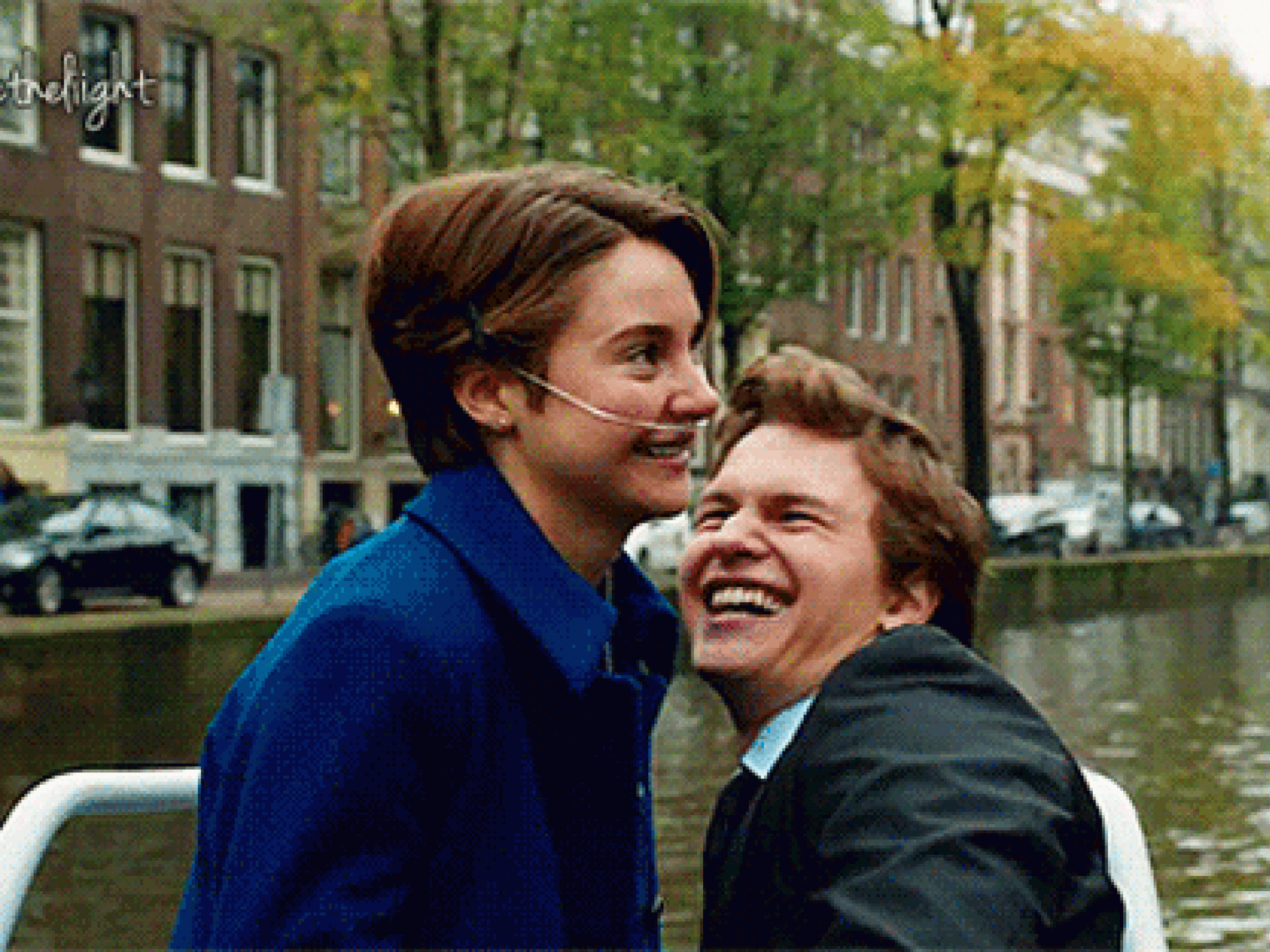 john-green-nie-wieder-ein-buch-557x313-2133874.gif john-green-nie-wieder-ein-buch-557x313-2133874.gif