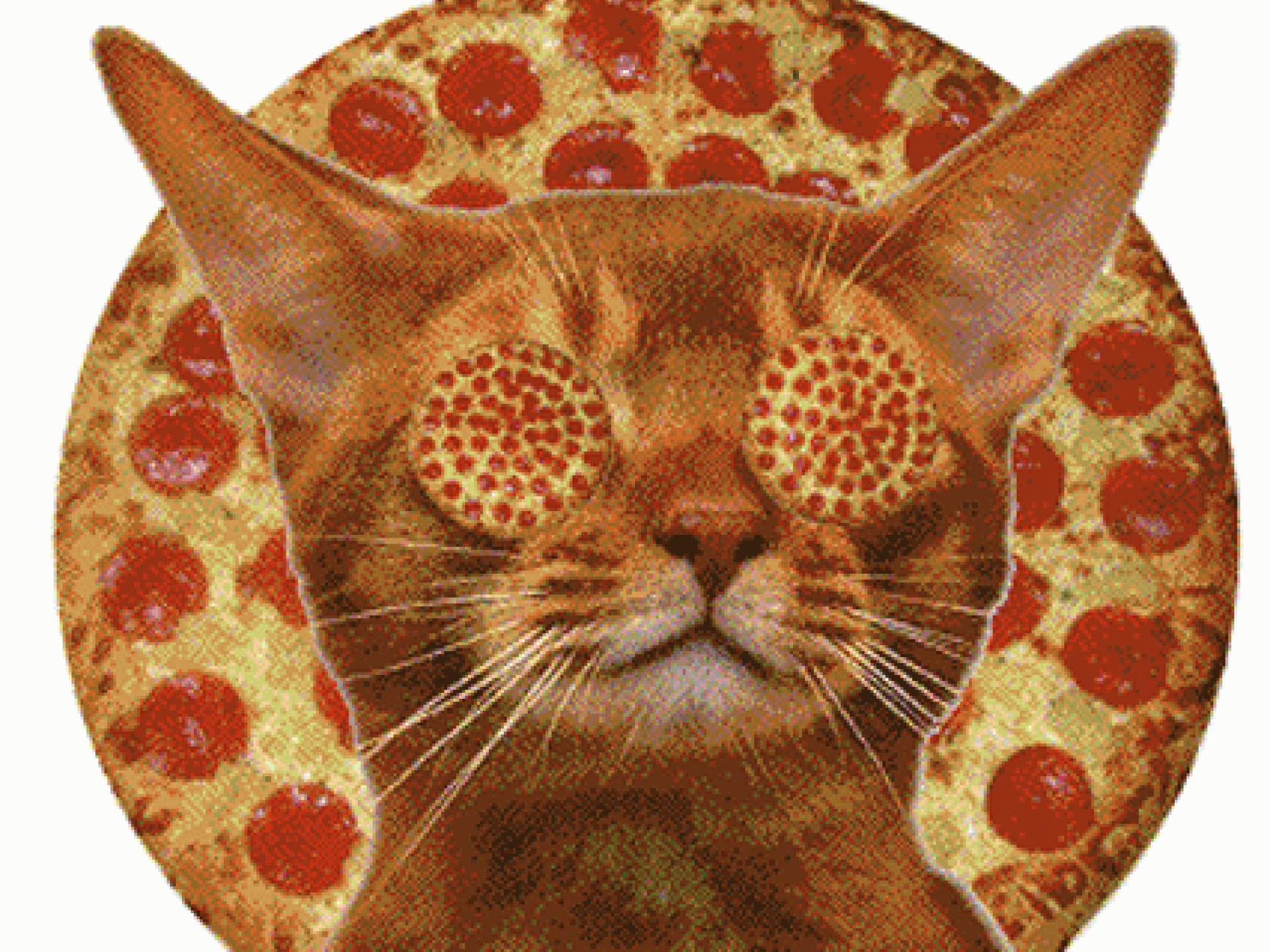 pizza-katze-426-2087119.gif pizza-katze-426-2087119.gif