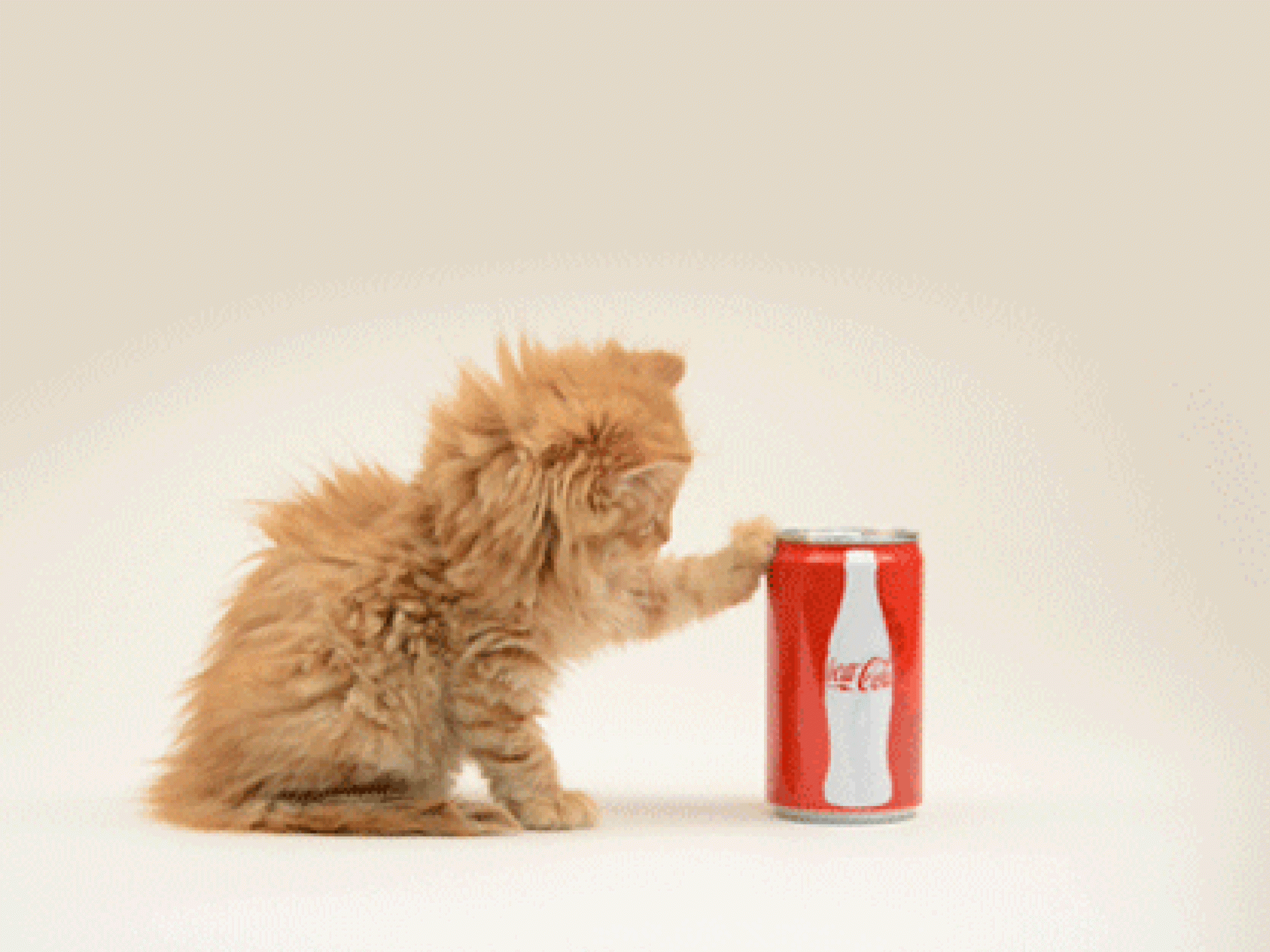 coca-cola-in-kapseln-2086604.gif