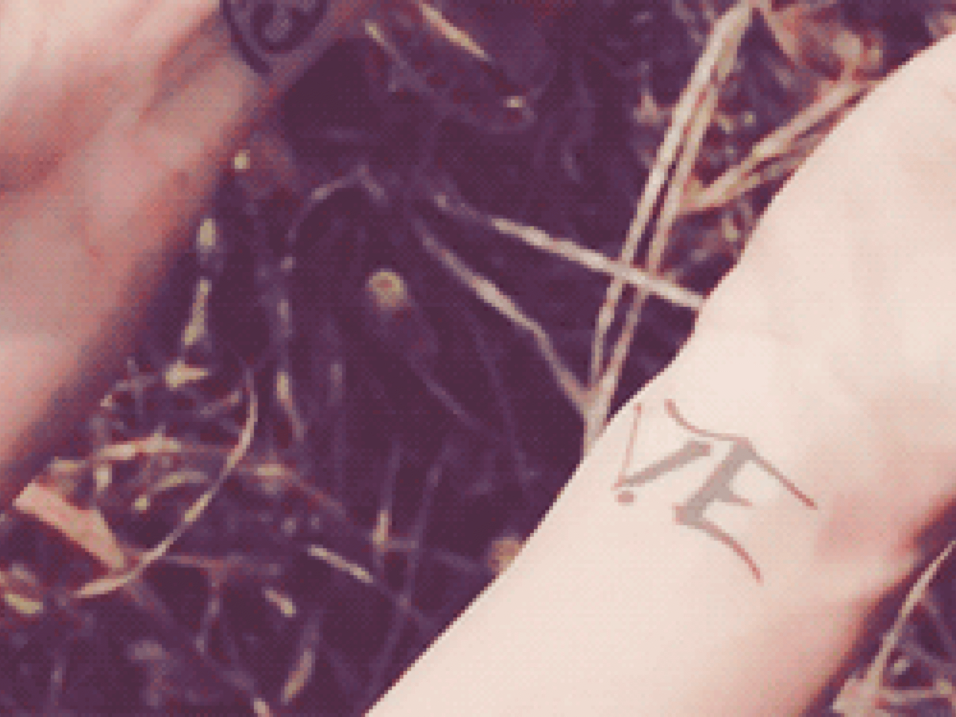 Nur mit ihr würdest du dir ein gemeinsames Tattoo stechen lassen. Nur mit ihr würdest du dir ein gemeinsames Tattoo stechen lassen.