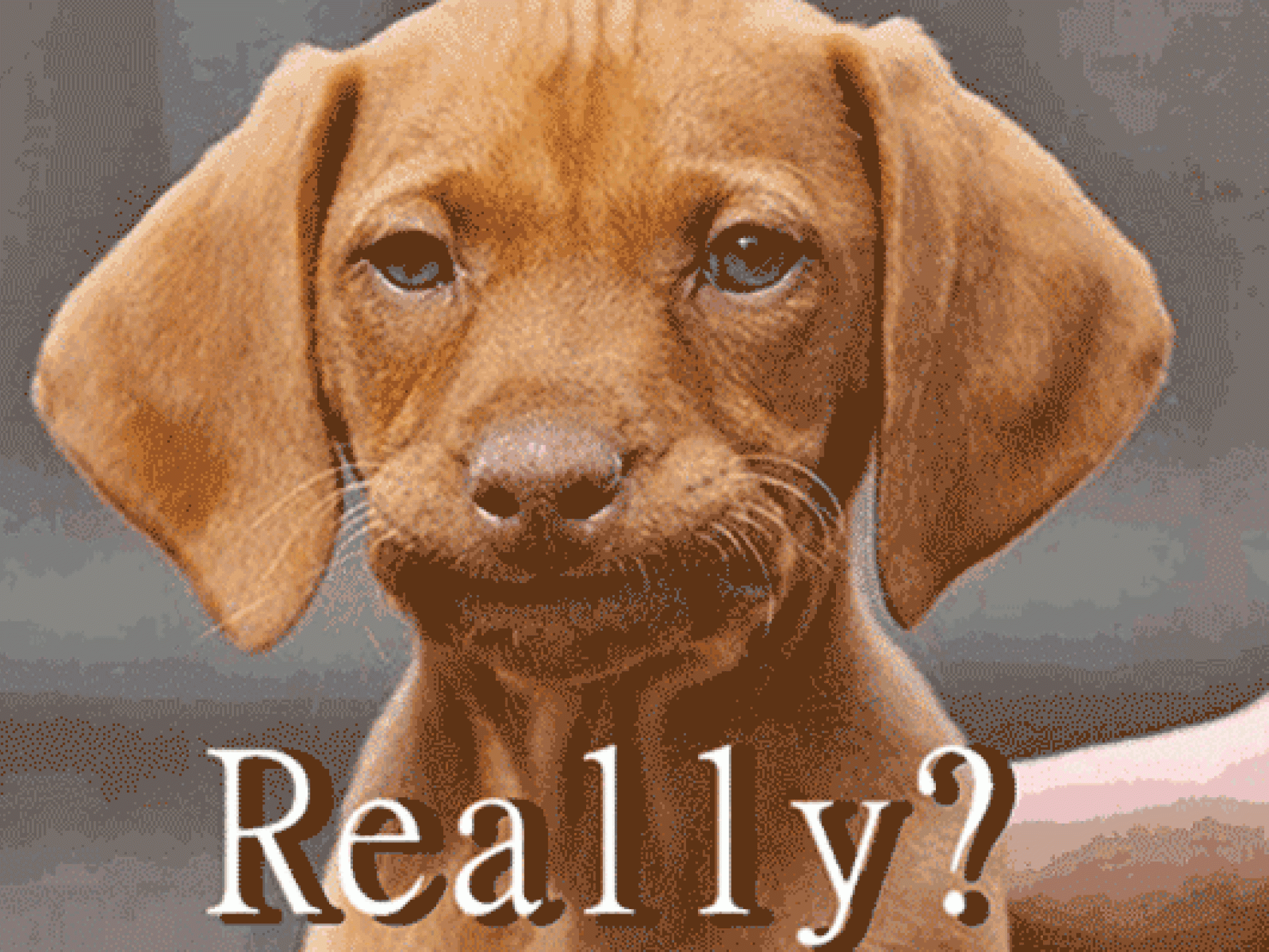 Er macht dir nie Komplimente Er macht dir nie Komplimente