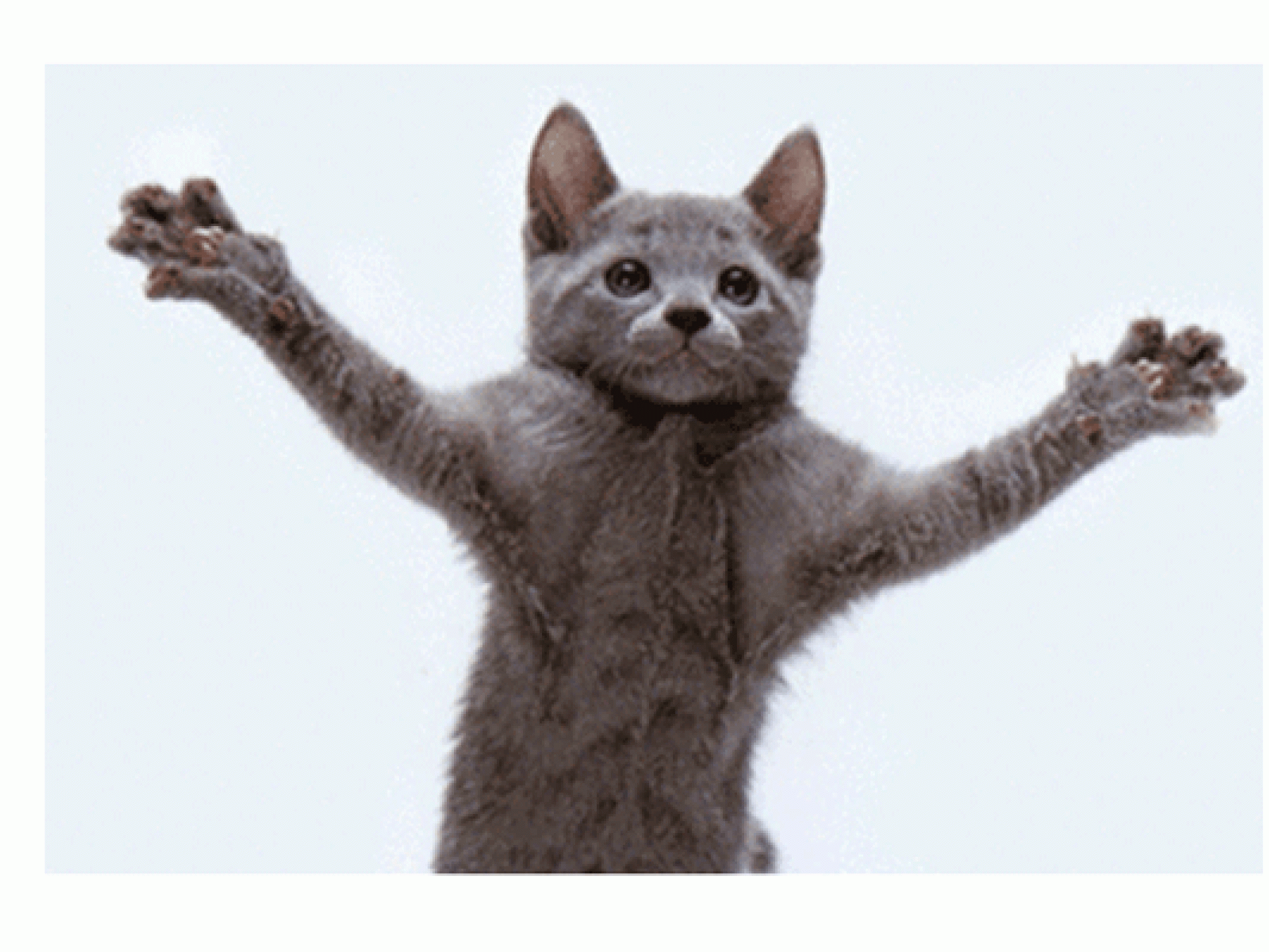 Wachse über dich hinaus