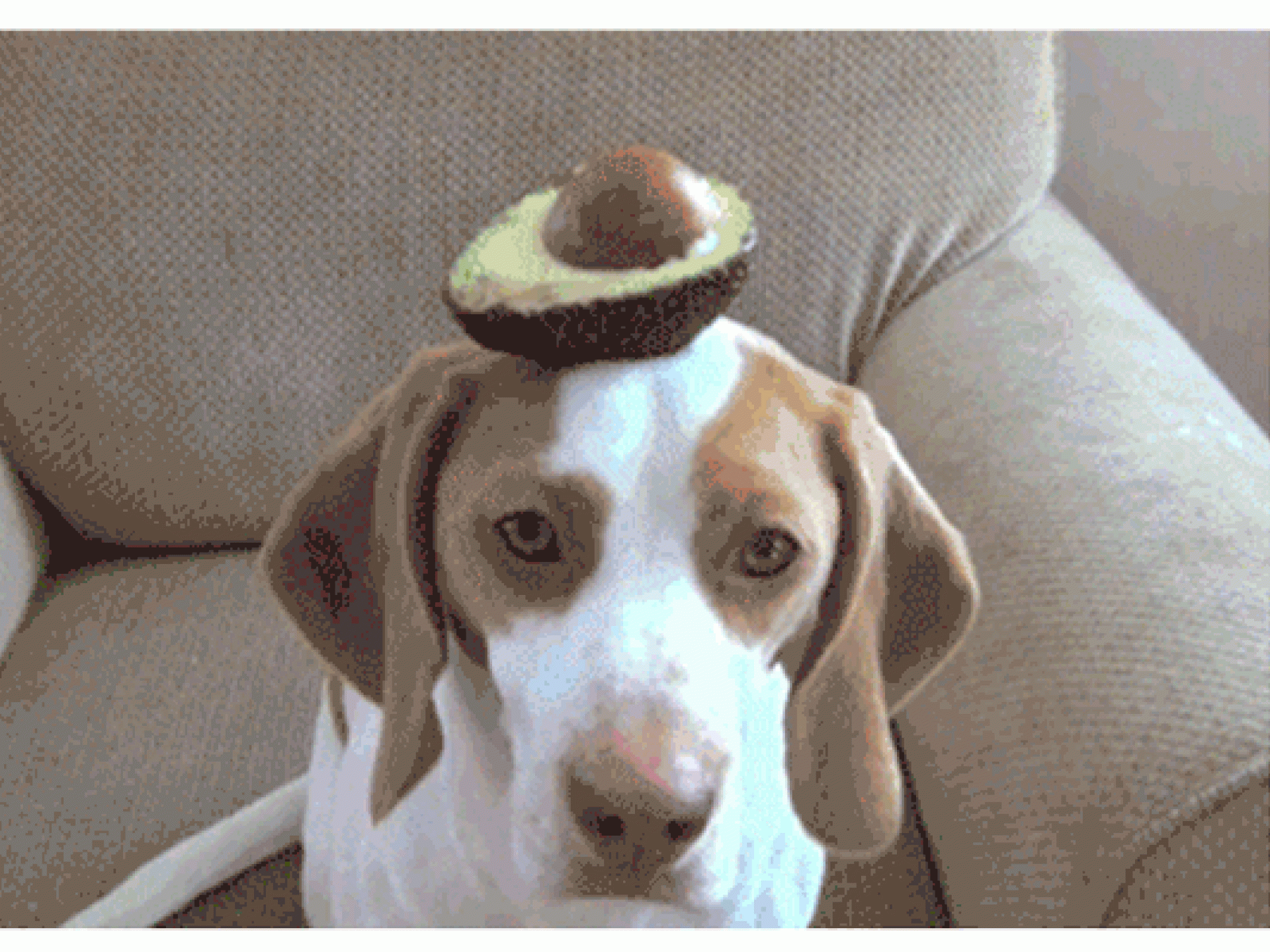 Selbstbewusstsein braucht gutes Futter