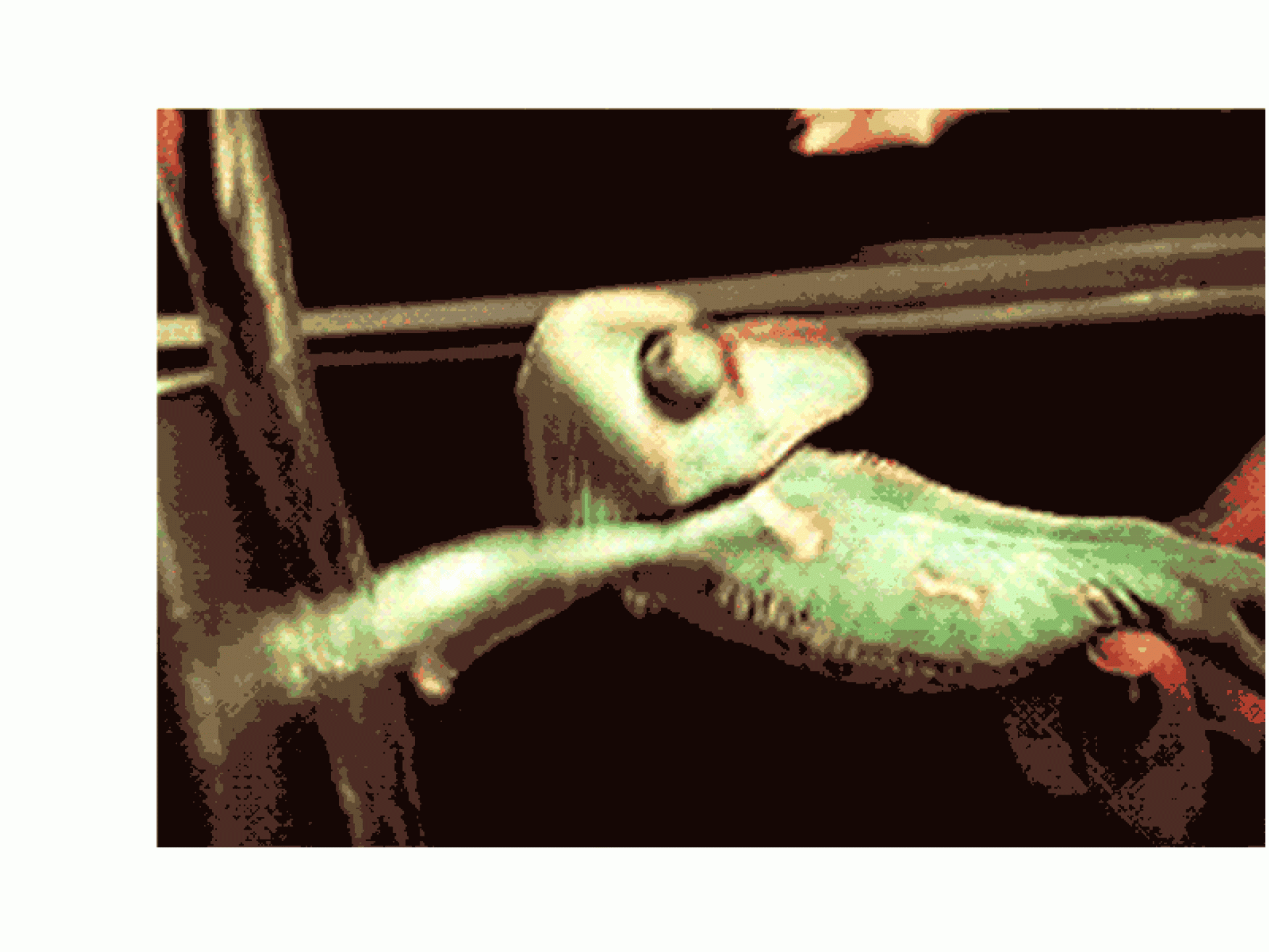 Schützt antibakterielle Seife vor Erkältung?