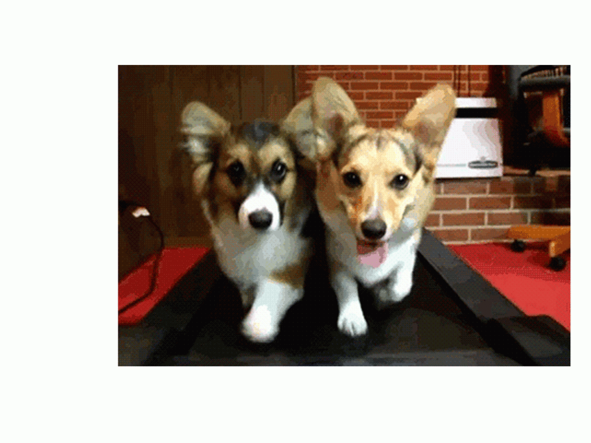 Sport gegen Erkältung?