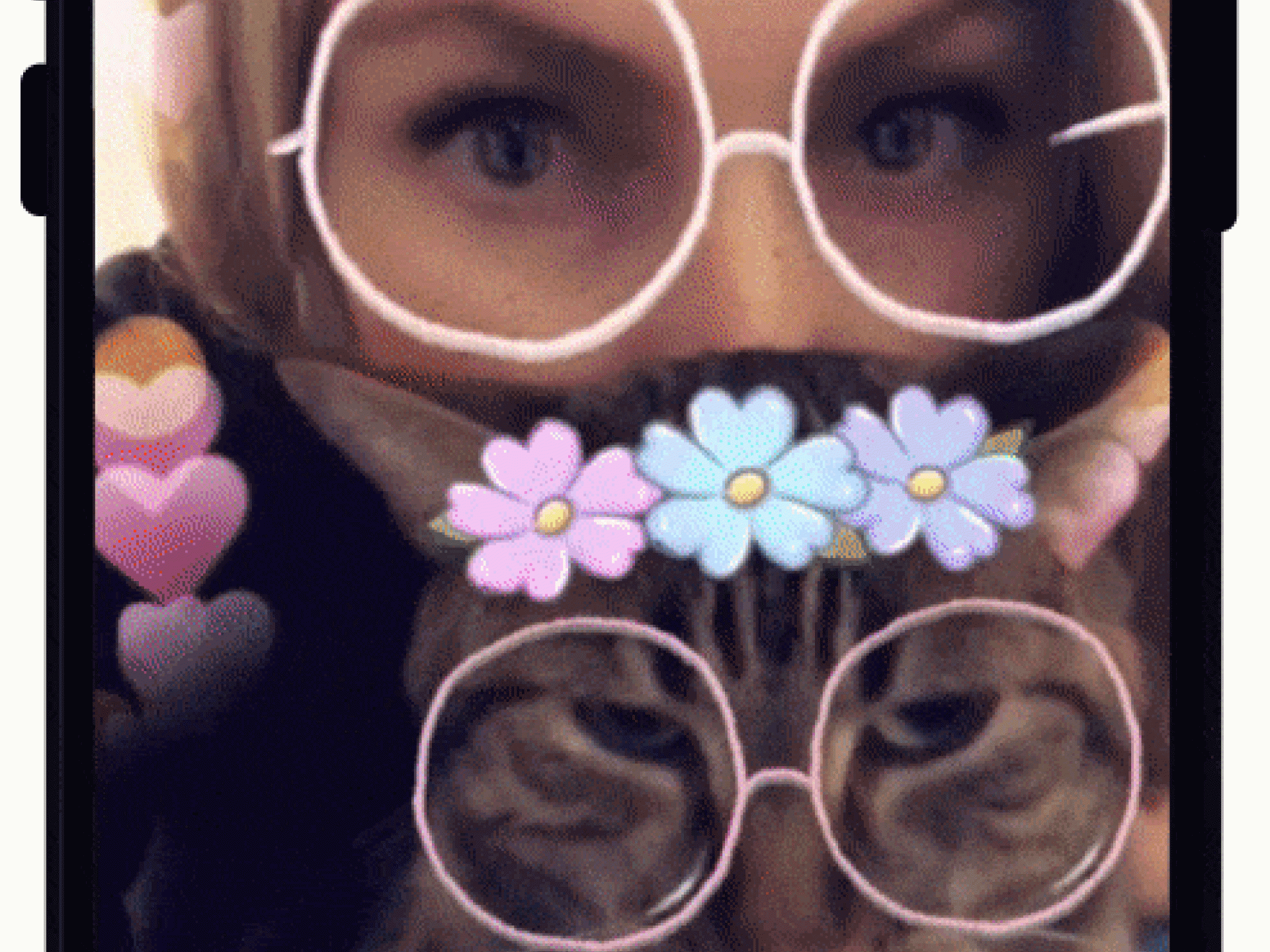 Cat Lenses1 Cat Lenses1