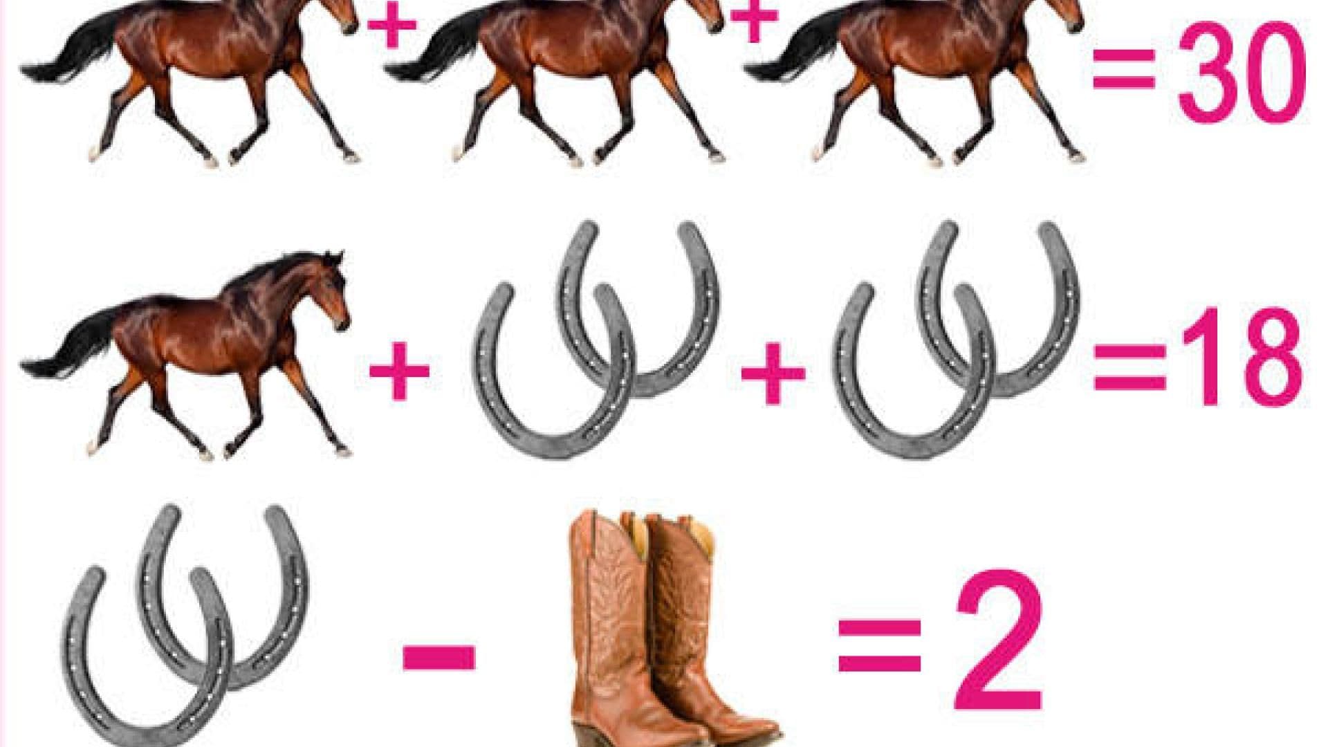 Pferde-Rätsel - Lösung