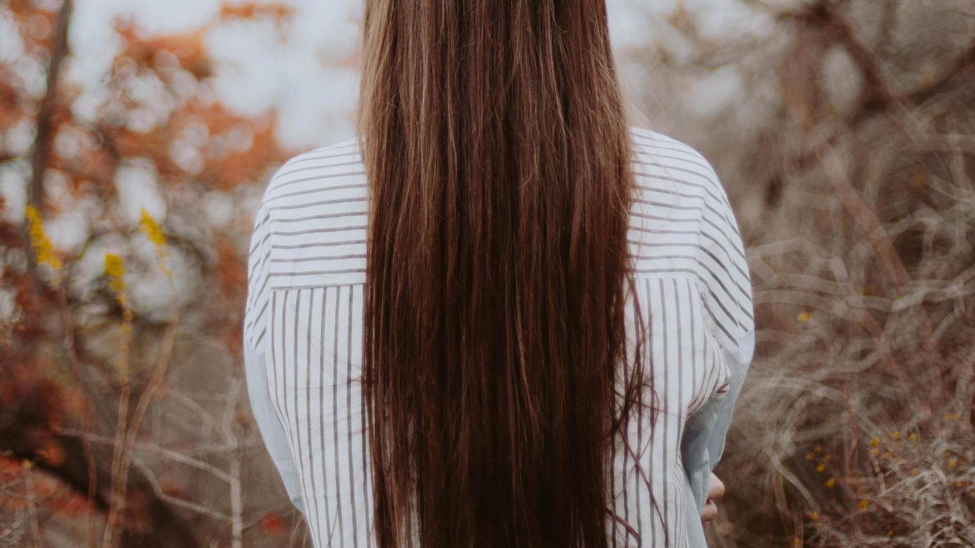 die schönste haare der welt