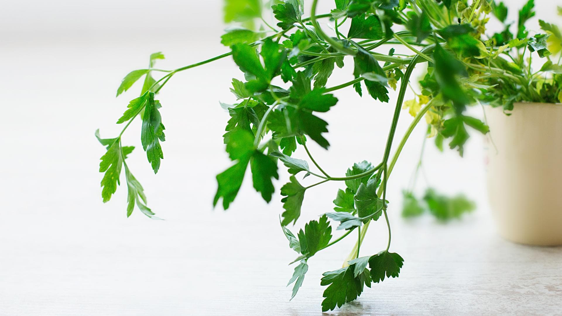 Gefährlicher Trend! Deshalb stecken sich gerade viele Mädchen