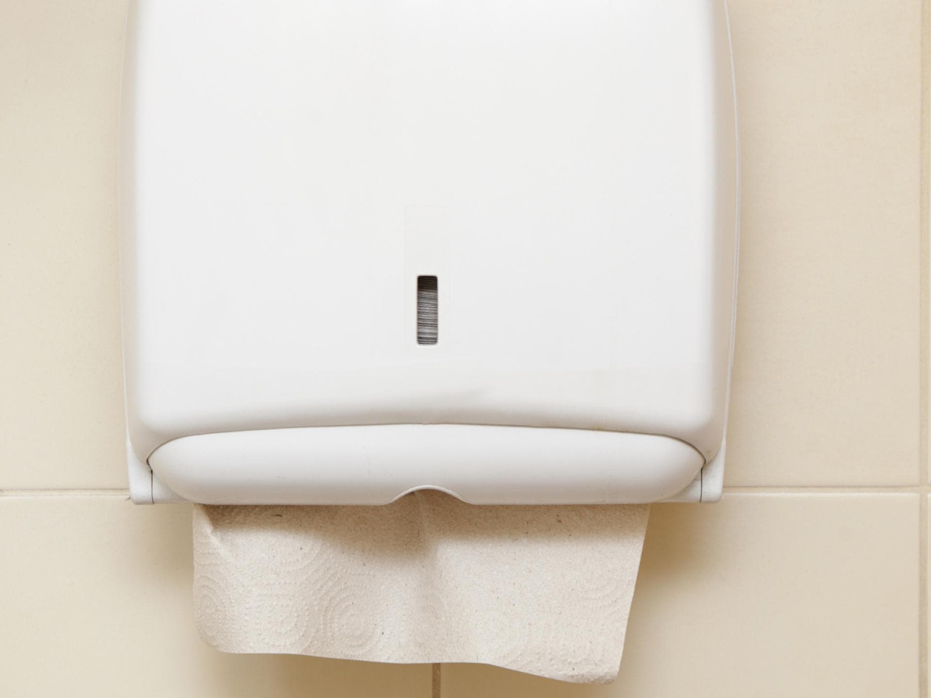 Woraus werden papierhandtuecher gemacht