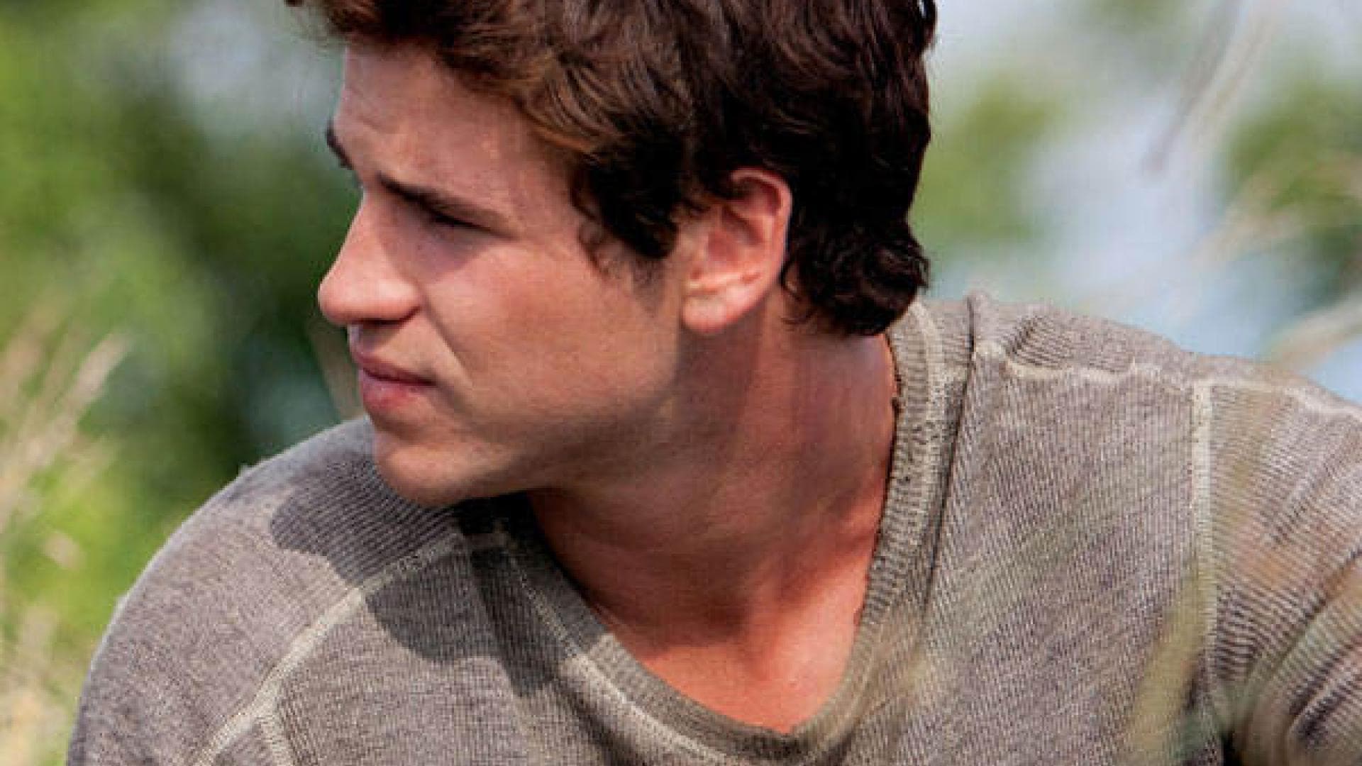 Liam Hemsworth Hunger Games Nachher