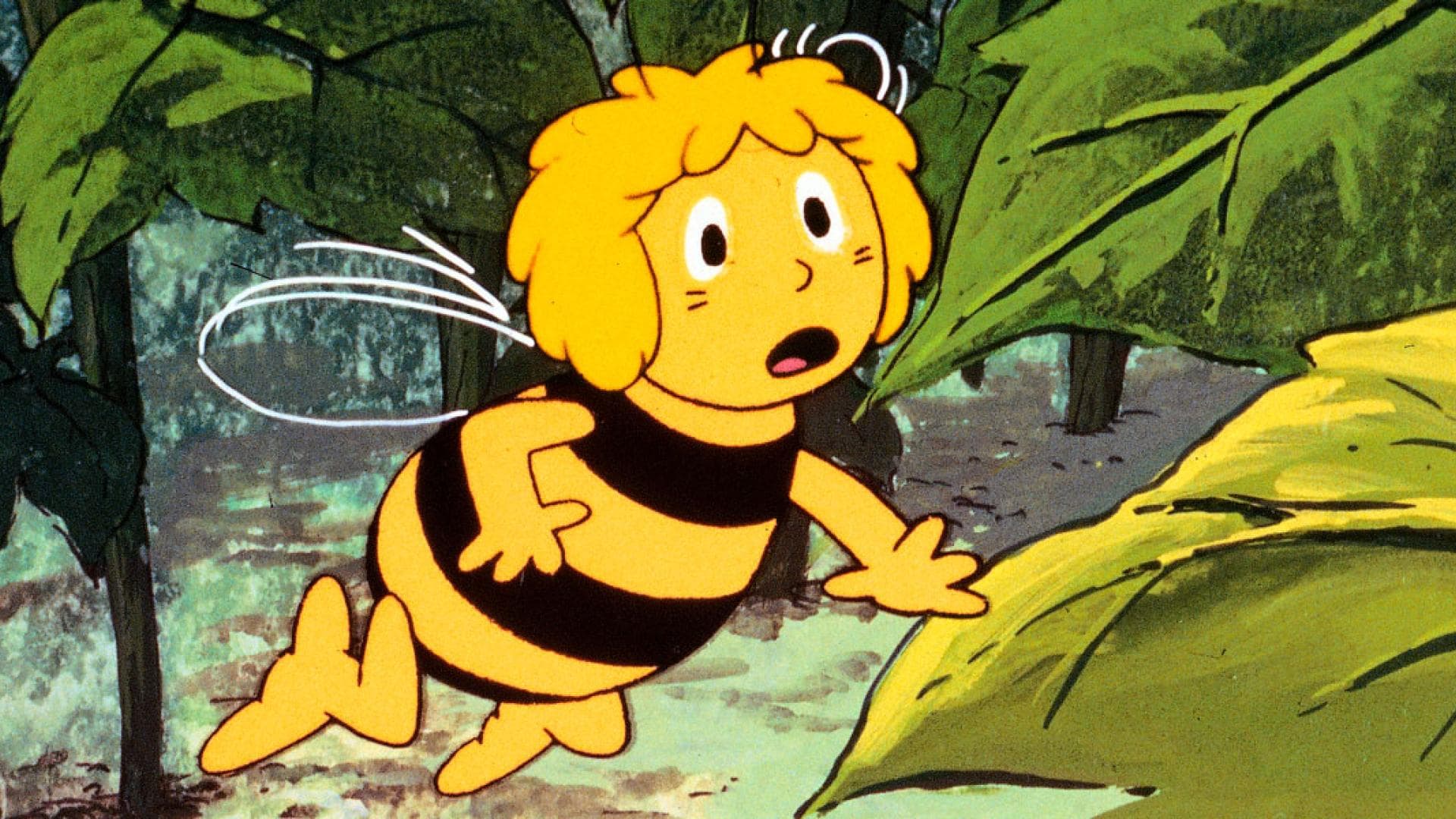 Biene Maja Anime Oder Zeichentrick