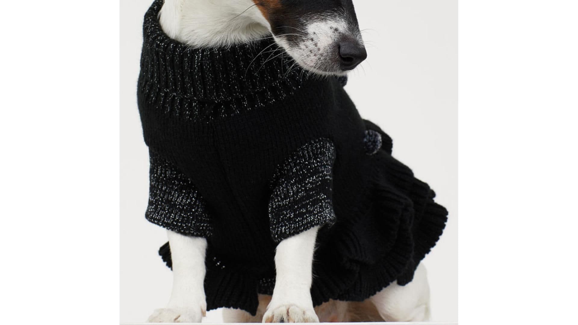 Weihnachtsgeschenk für deinen Hund