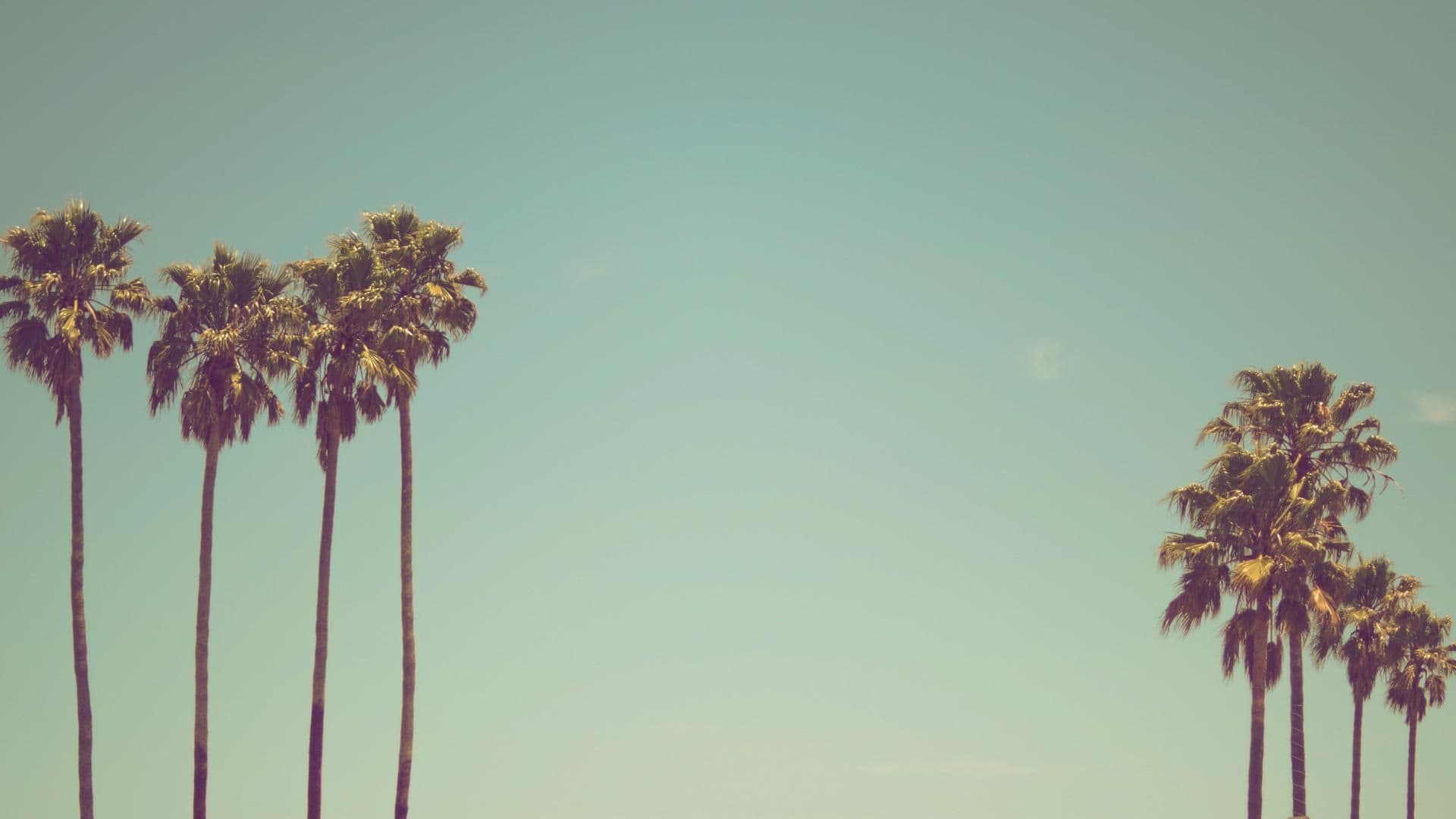 Sommerfilme Die Allerschonsten Filme Fur Heisse Tage